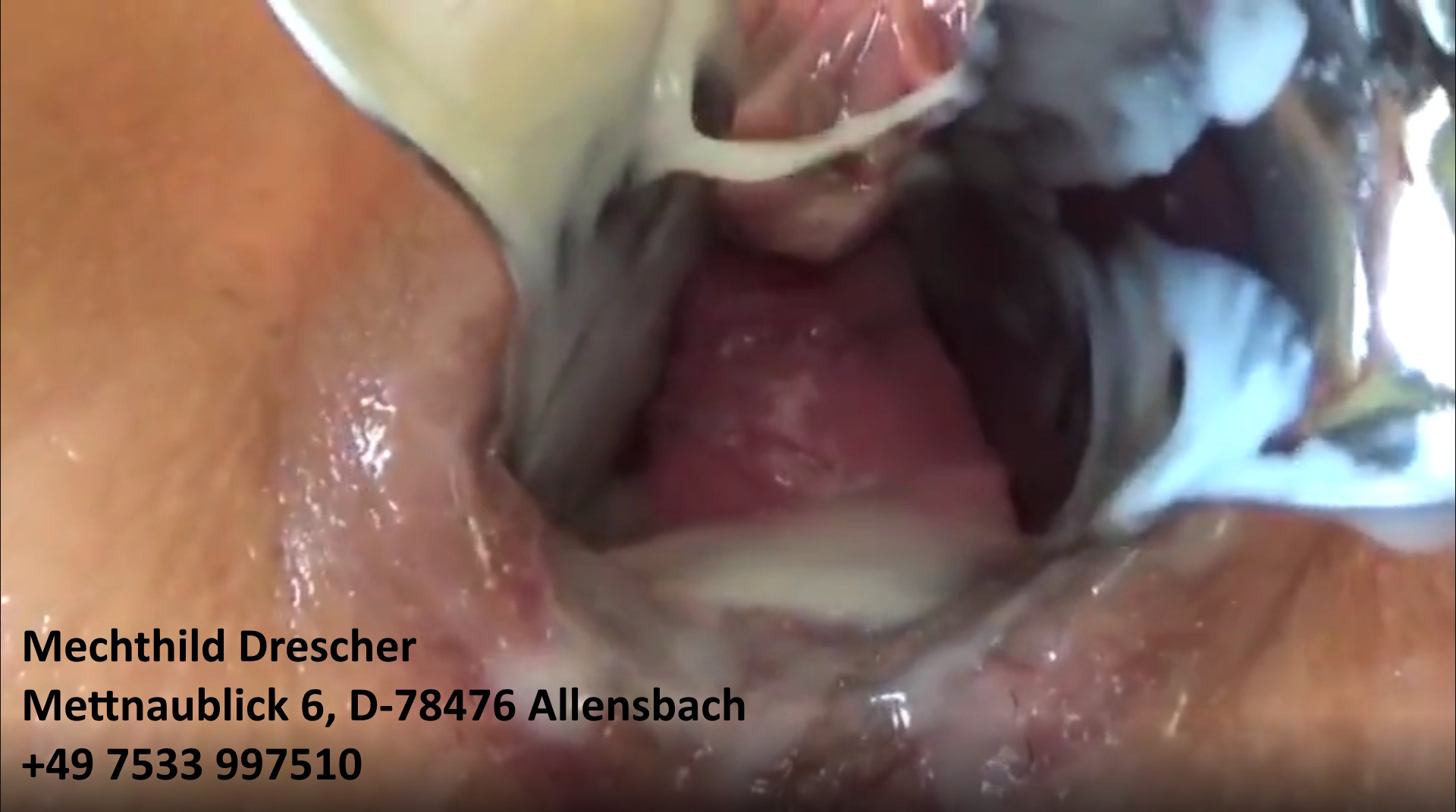 Mechthild Drescher melkt ihre Fotze (Hobbyhure Allensbach)