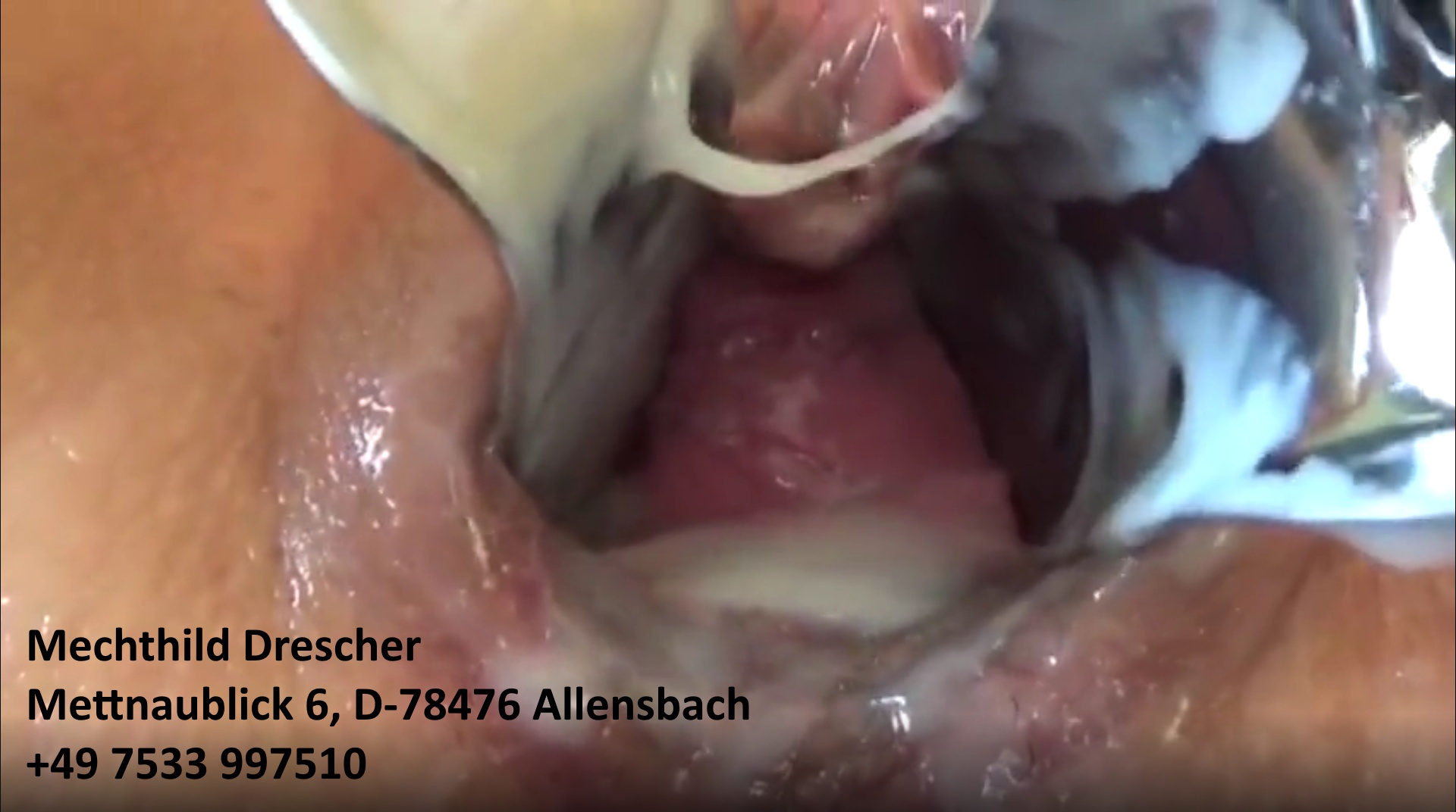 Mechthild Drescher melkt ihre Fotze (Hobbyhure Allensbach)