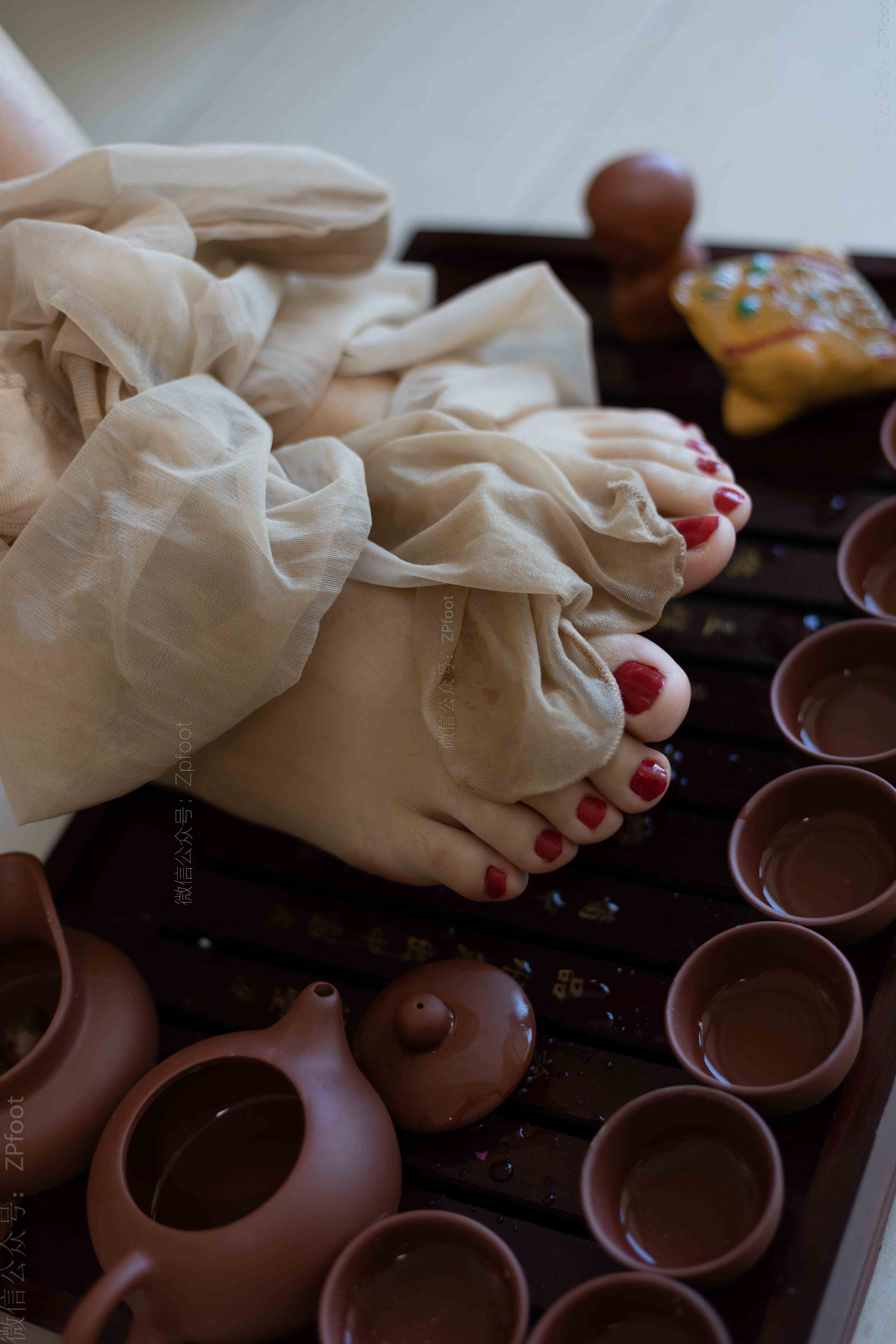 China Beauty Legs and feet 1185