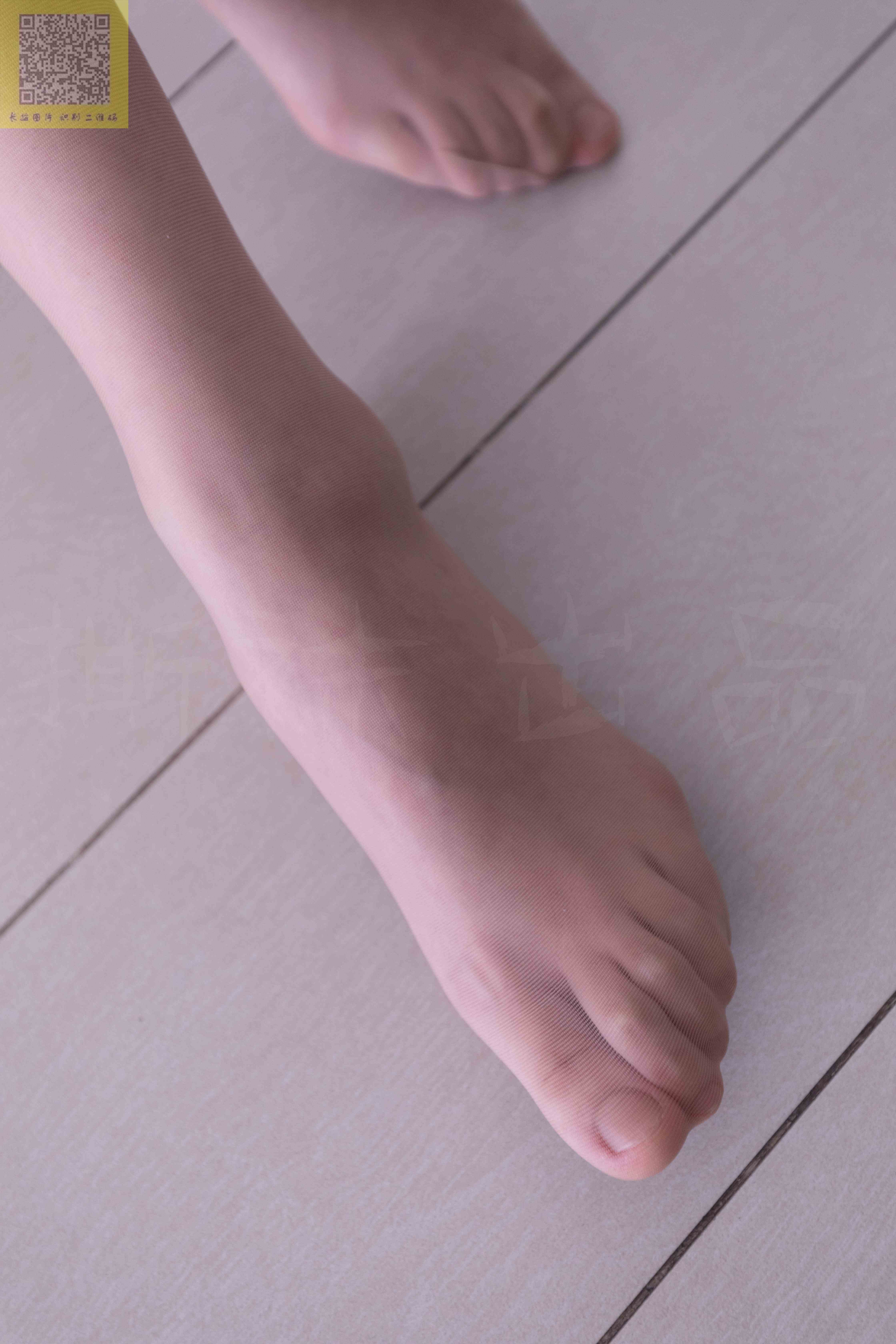 China Beauty Legs and feet 1204