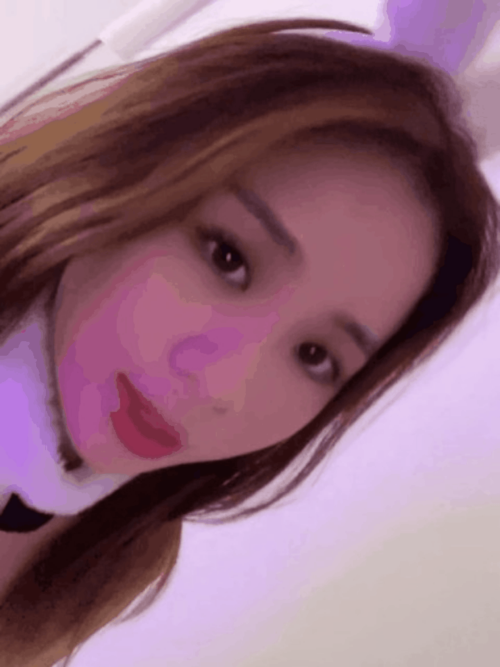 The Sexy Bunnies Collection (2025)