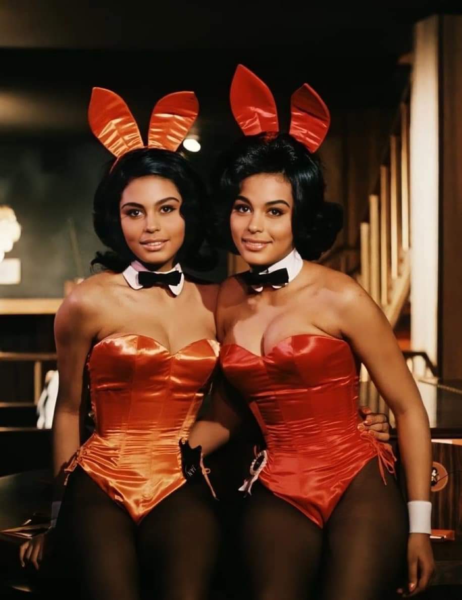The Sexy Bunnies Collection (2025)