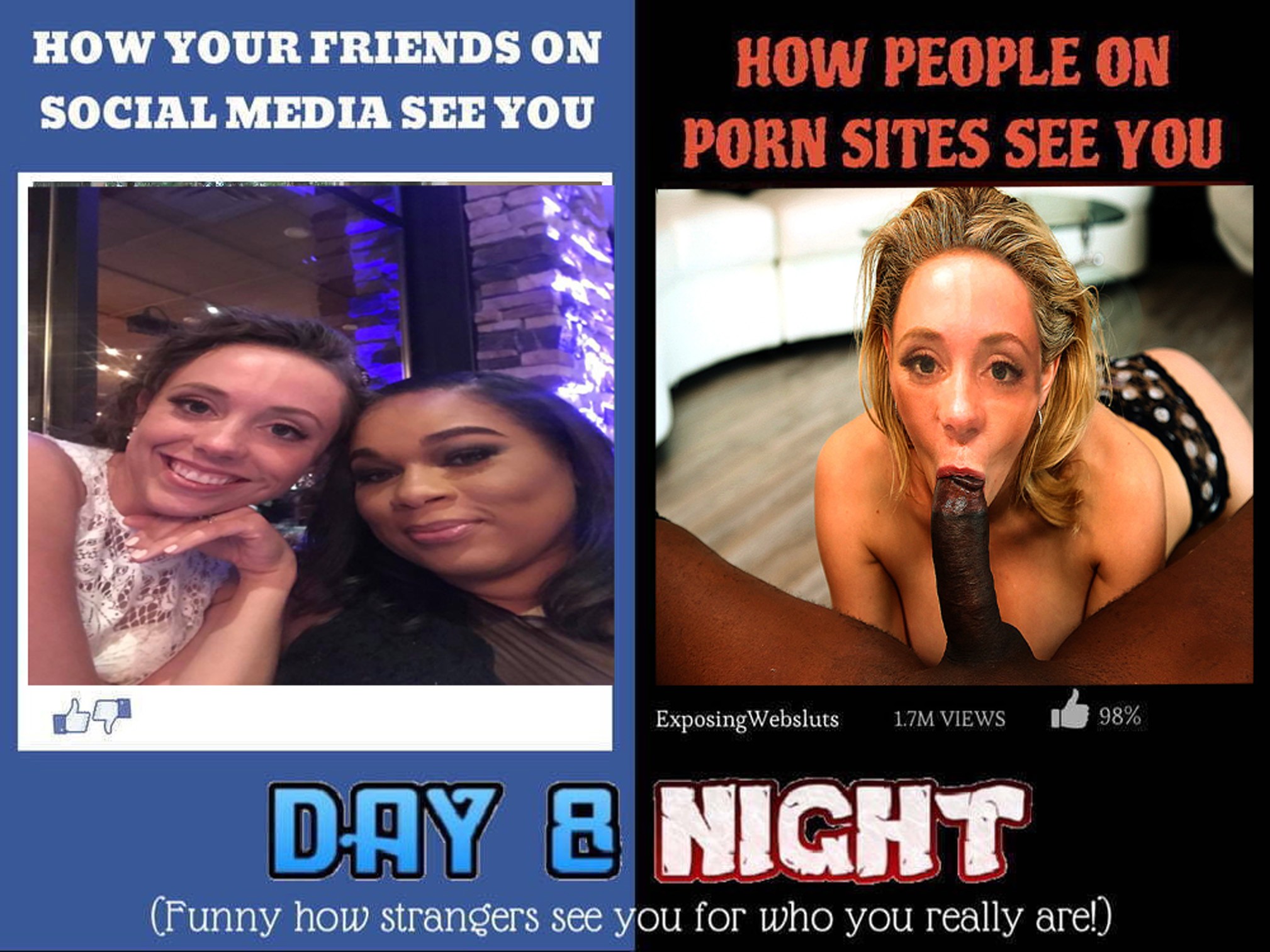 BLACK COCK OWN THESE WHITE PORNSTARS ON THE WEB