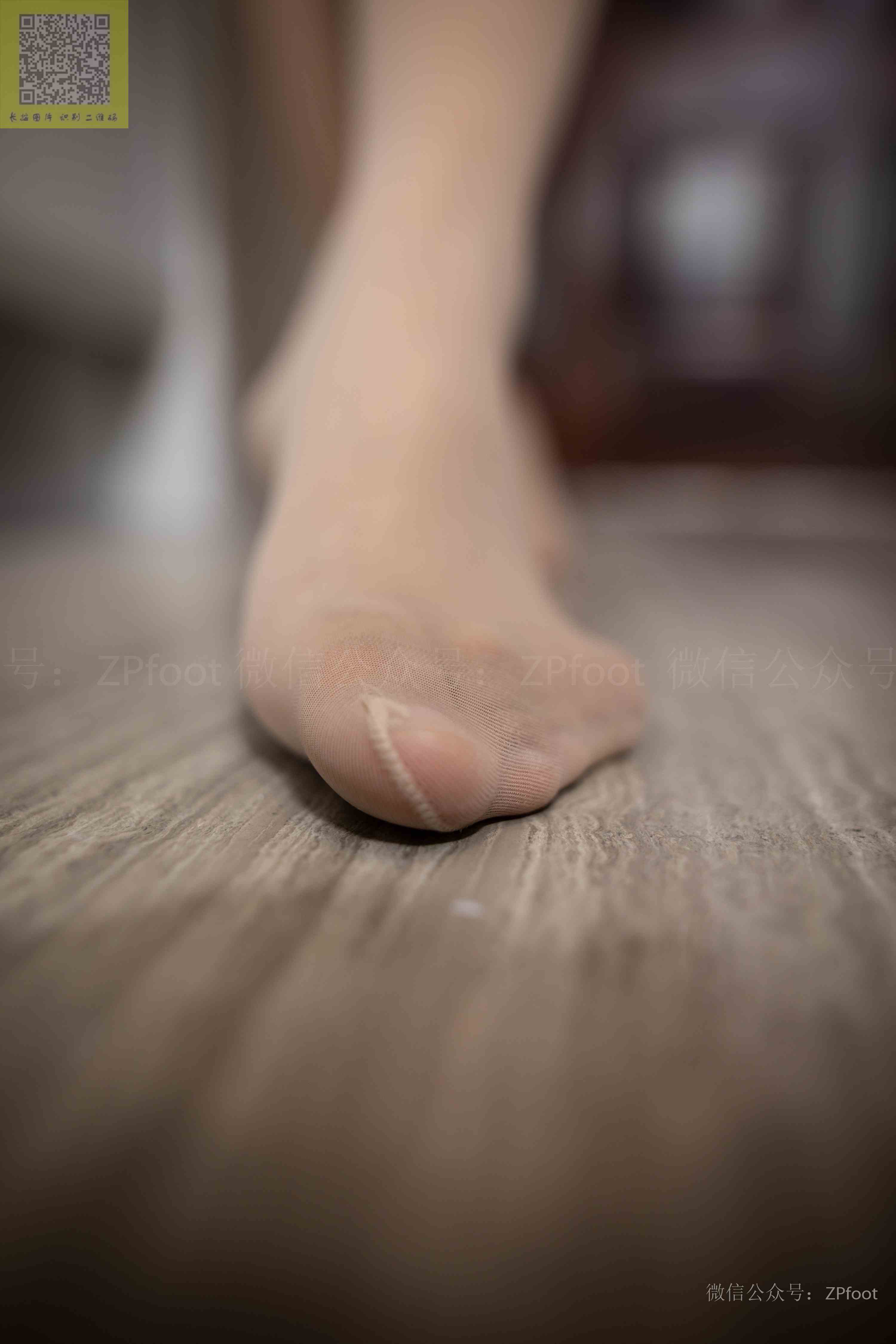 China Beauty Legs and feet 1258