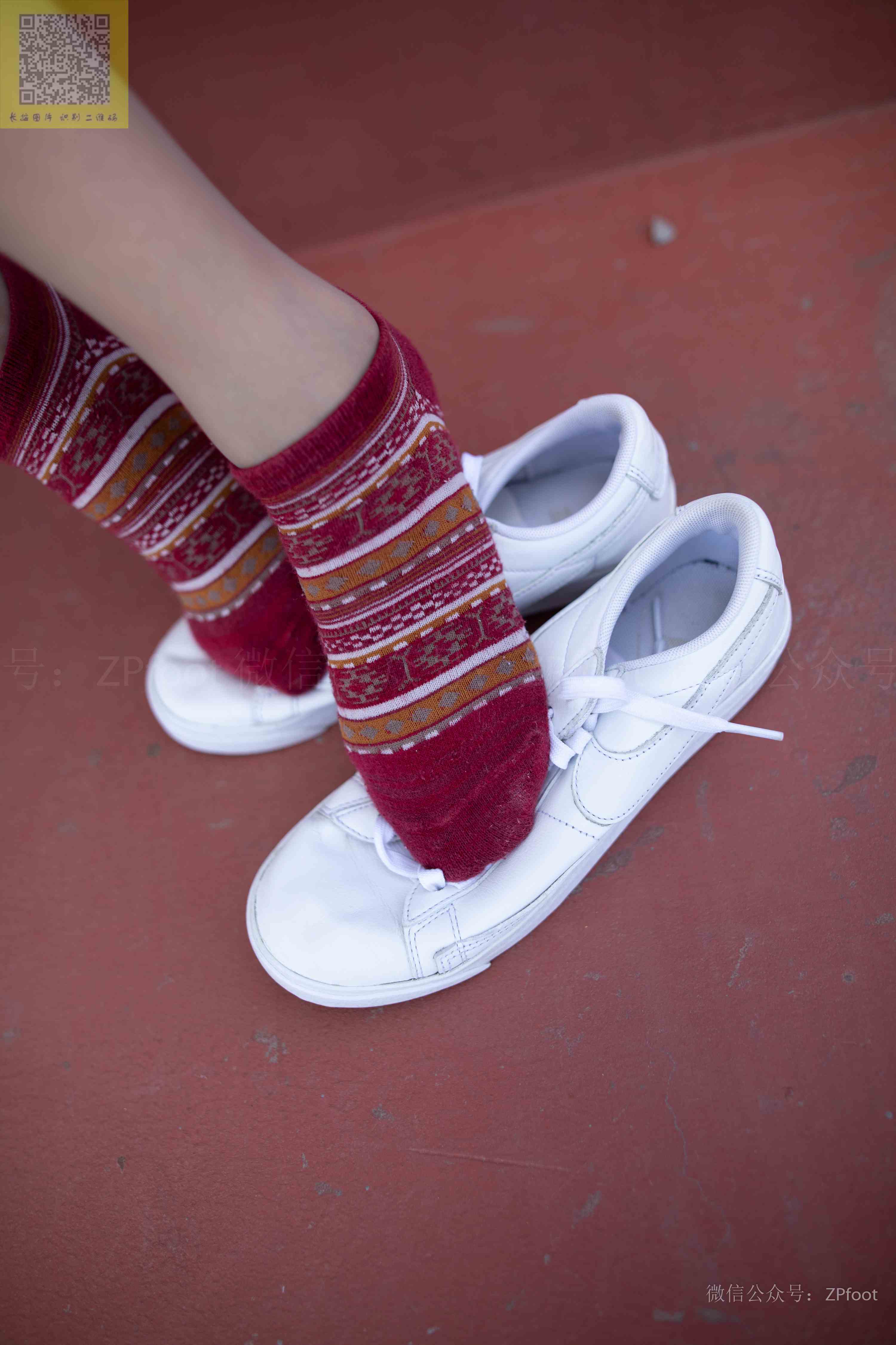 China Beauty Legs and feet 1269