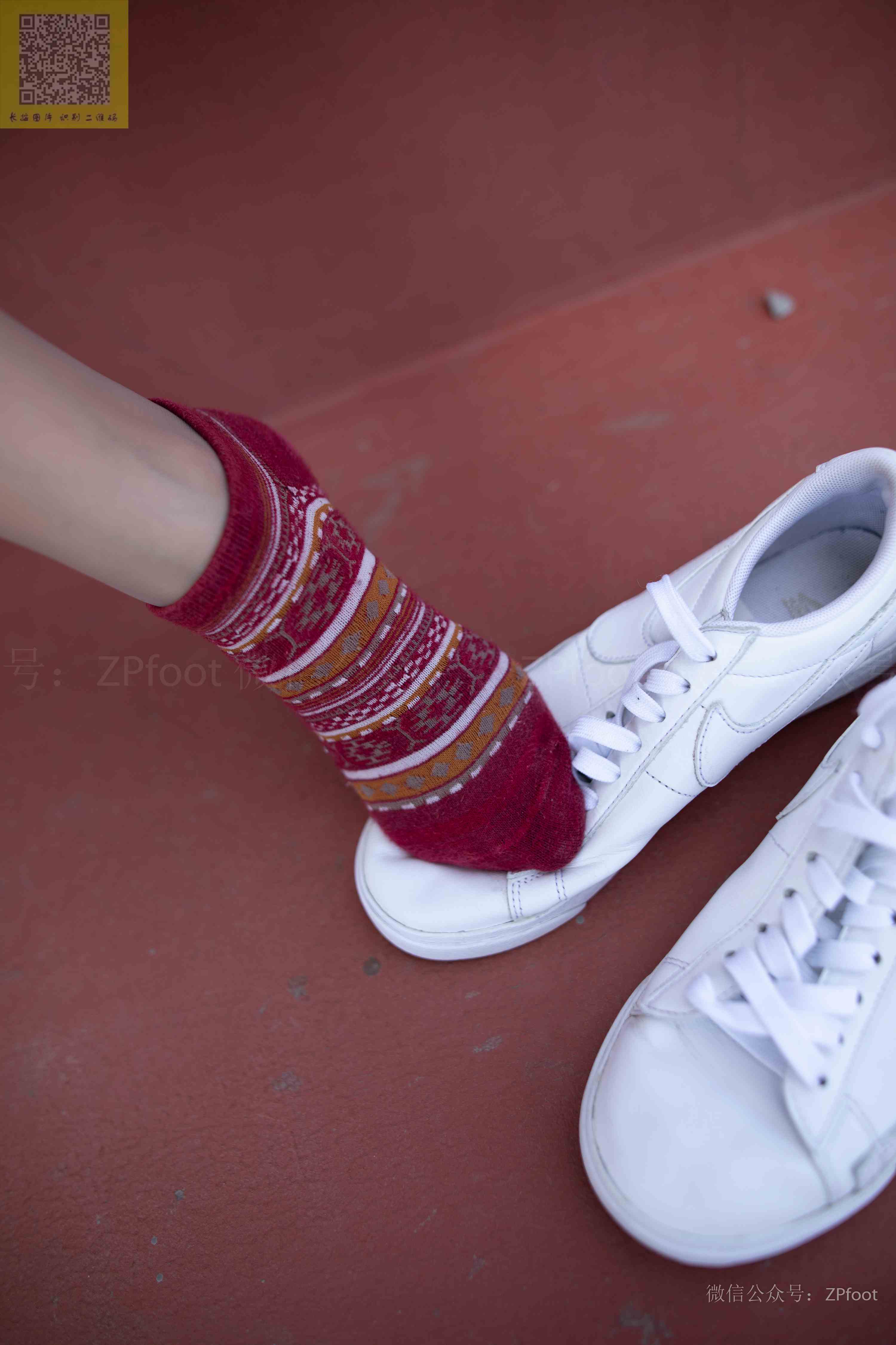 China Beauty Legs and feet 1269