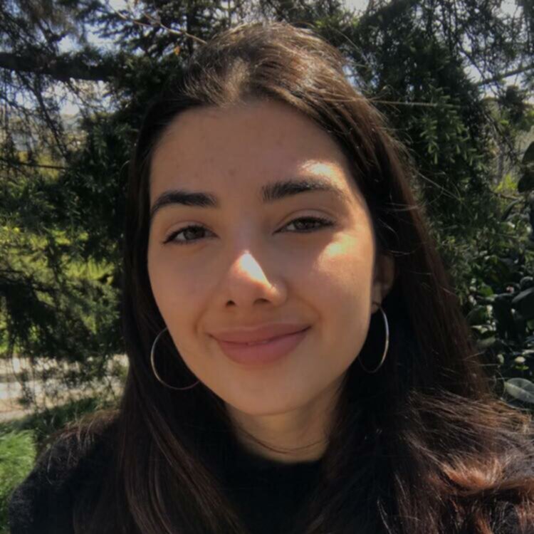 Helin sedef slut to use