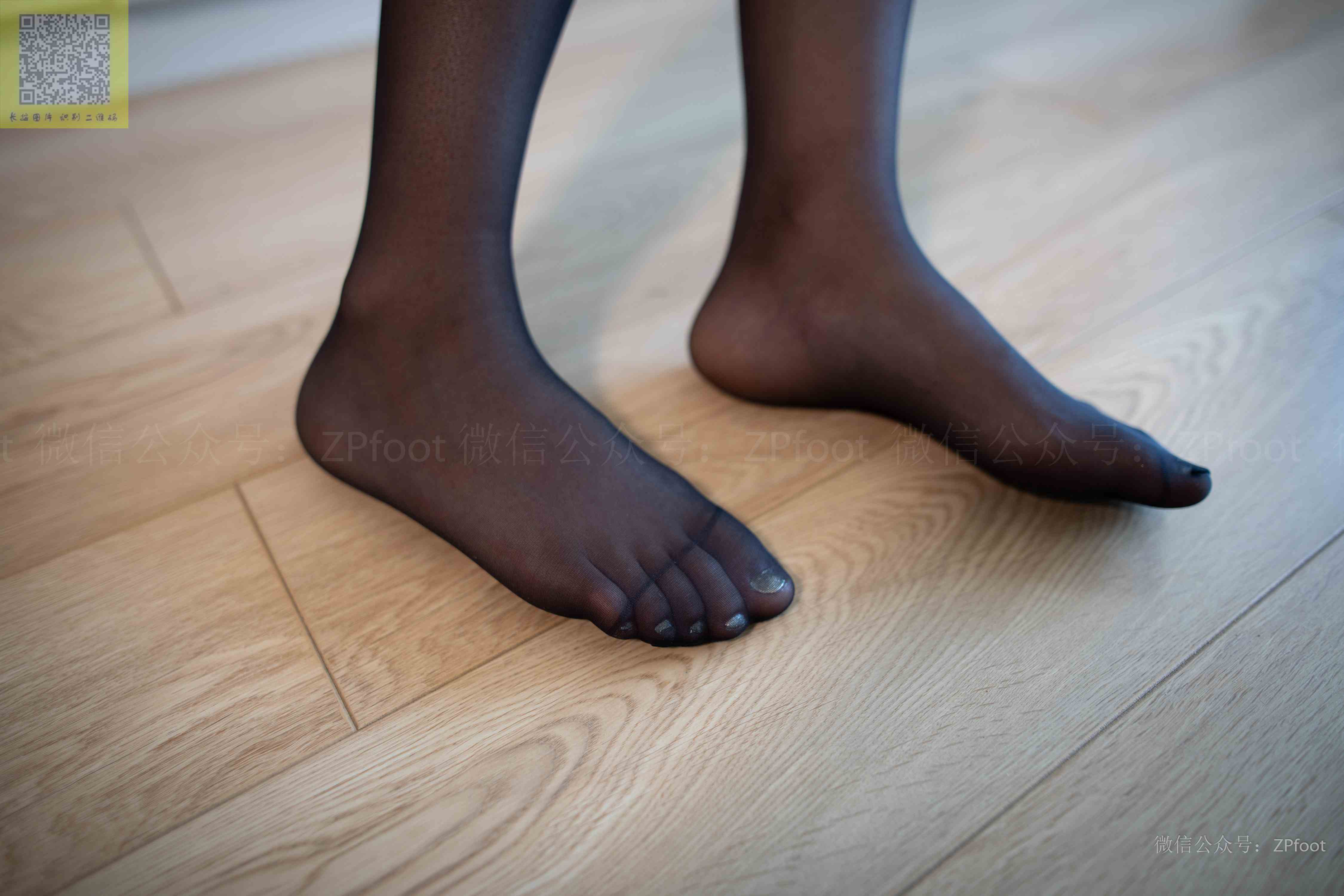 China Beauty Legs and feet 1290