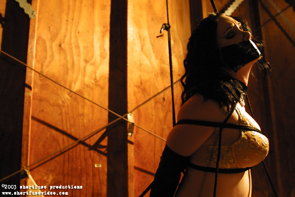 magnificent bondage 292