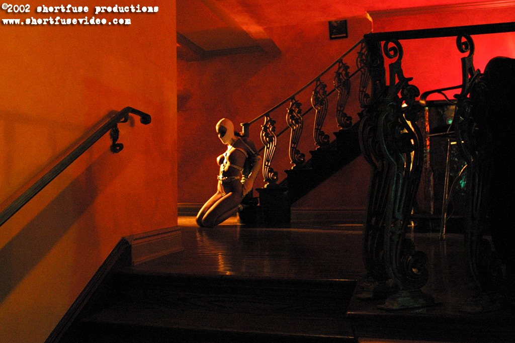 magnificent bondage 295