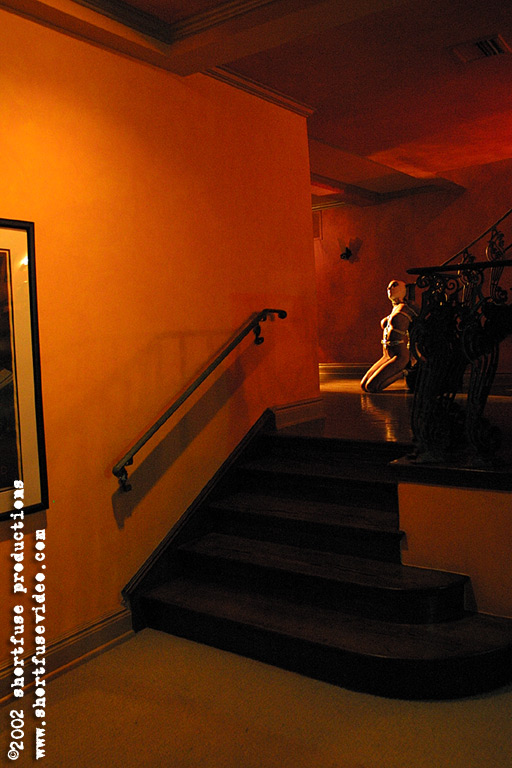 magnificent bondage 295