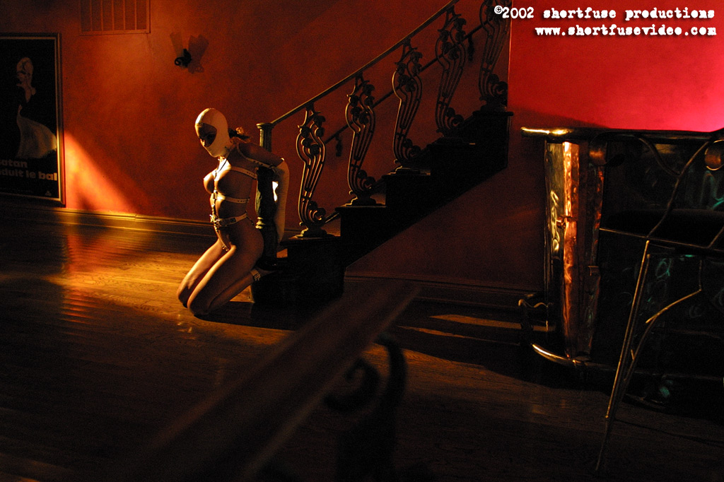 magnificent bondage 295