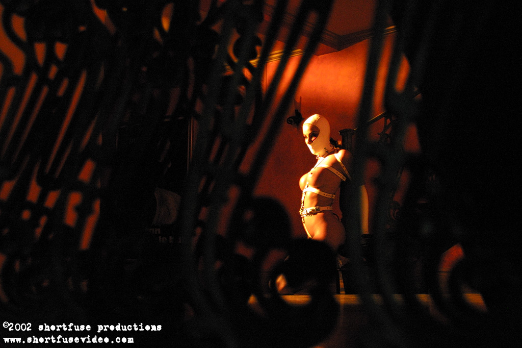 magnificent bondage 295