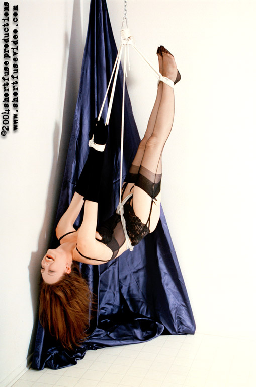 magnificent bondage 334