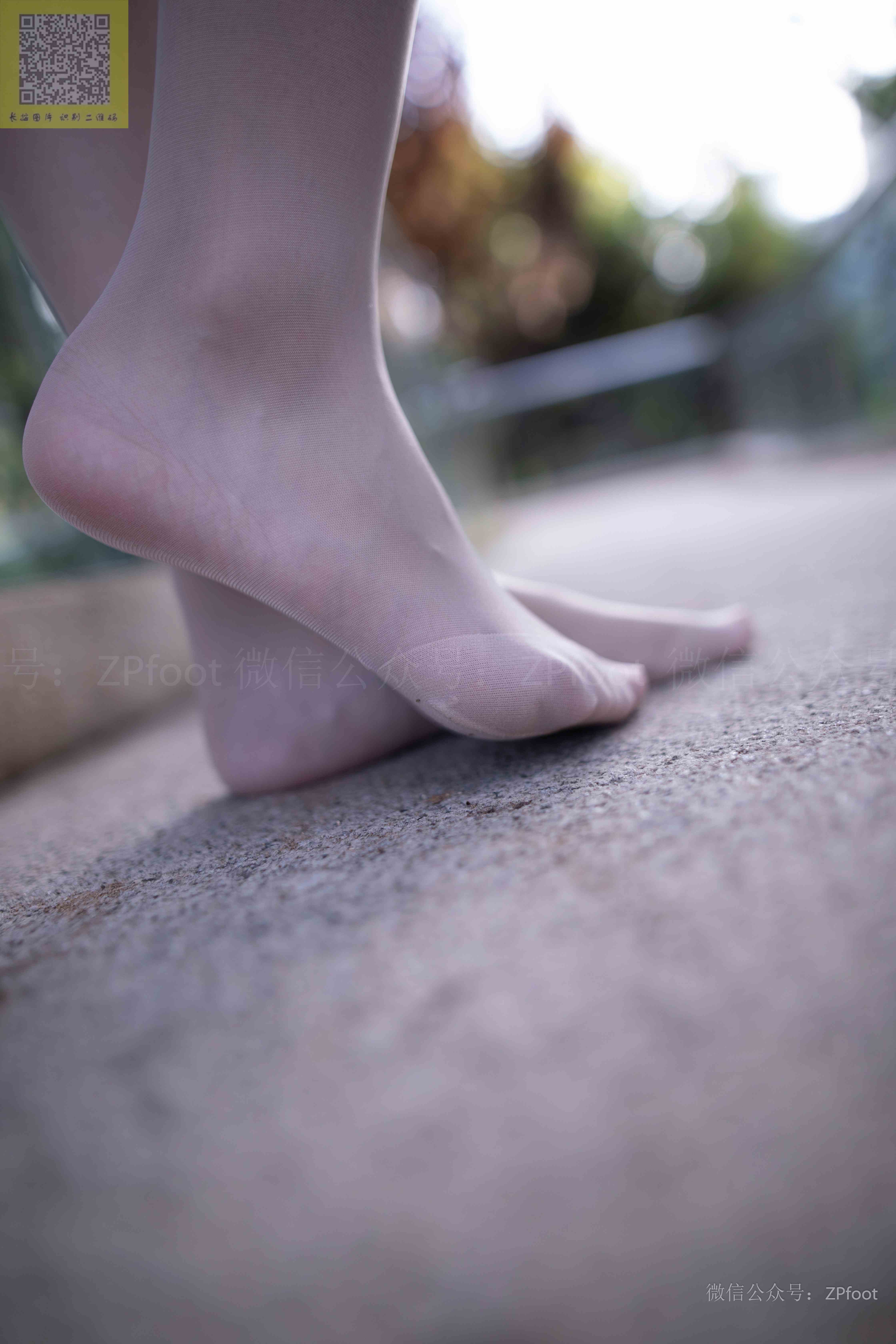 China Beauty Legs and feet 1324