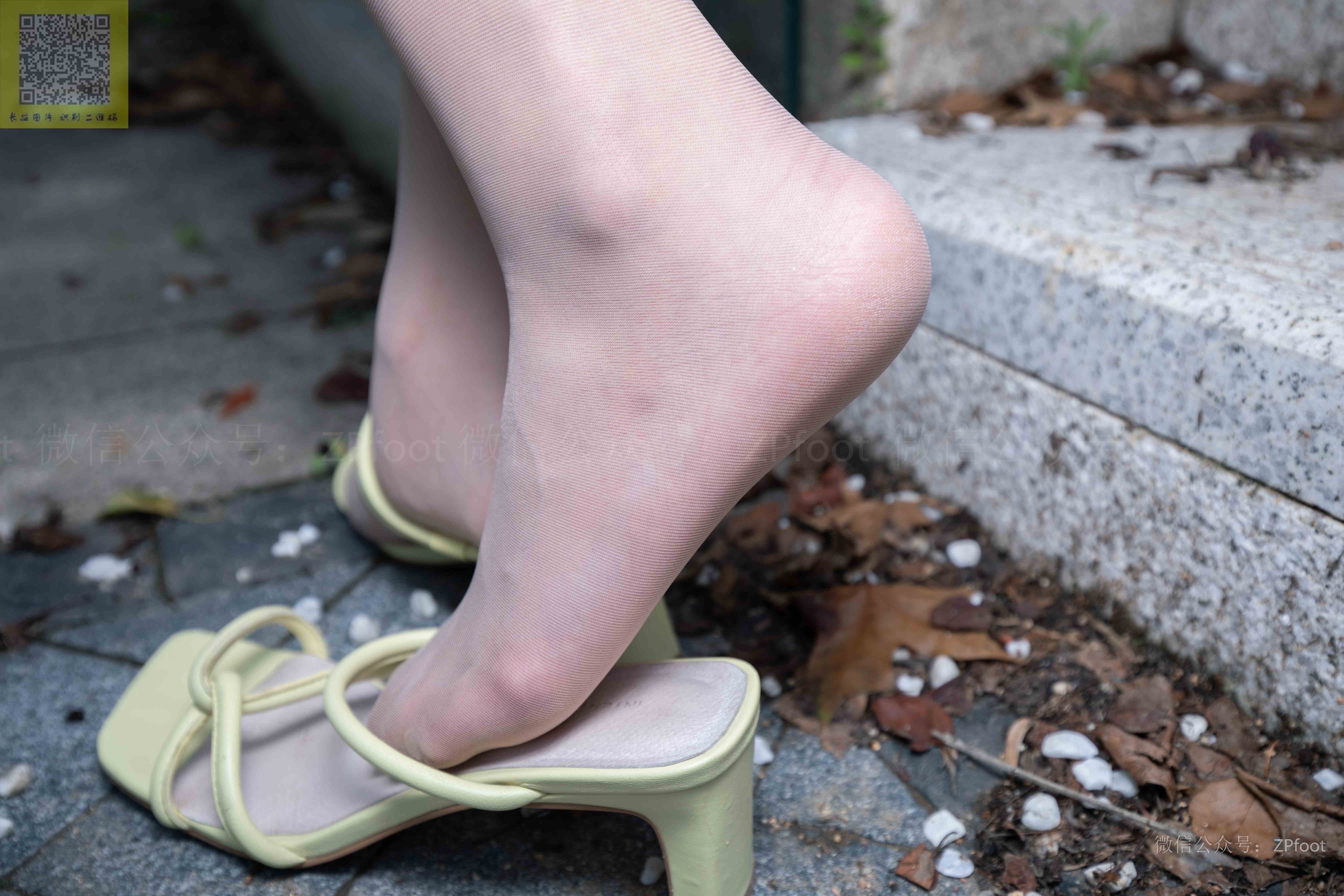 China Beauty Legs and feet 1334