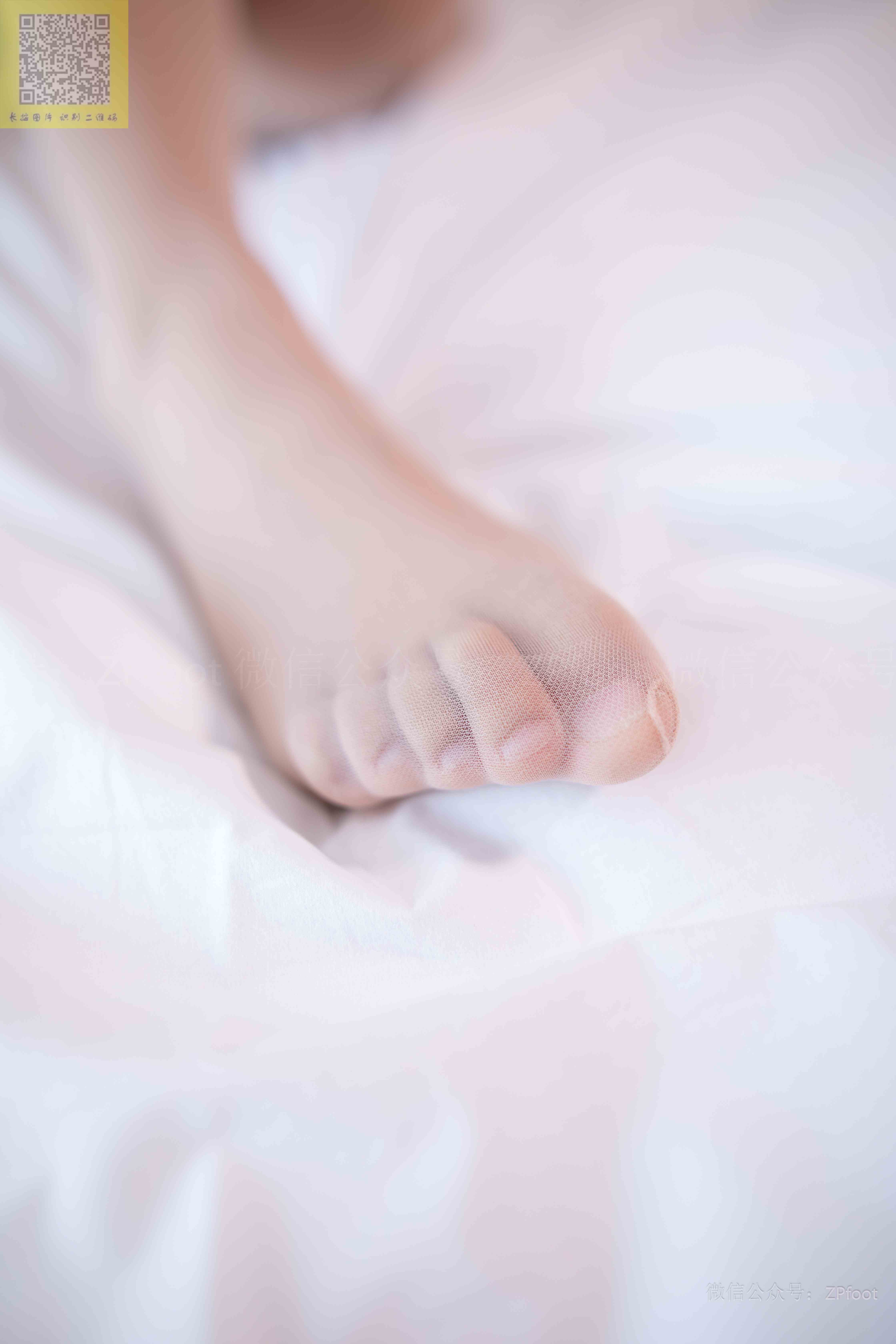 China Beauty Legs and feet 1335