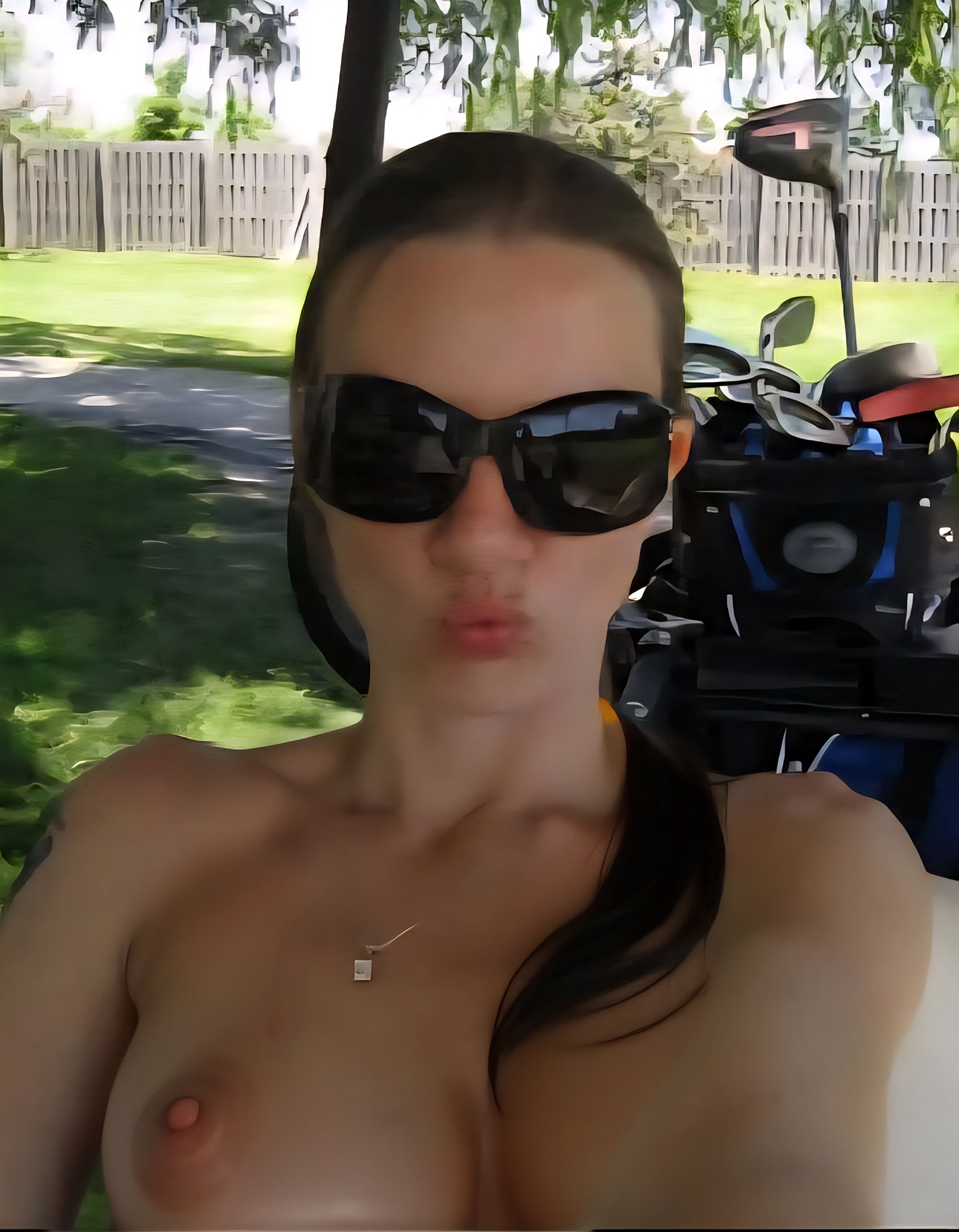 Chicago Northwest Suburbs Milfs