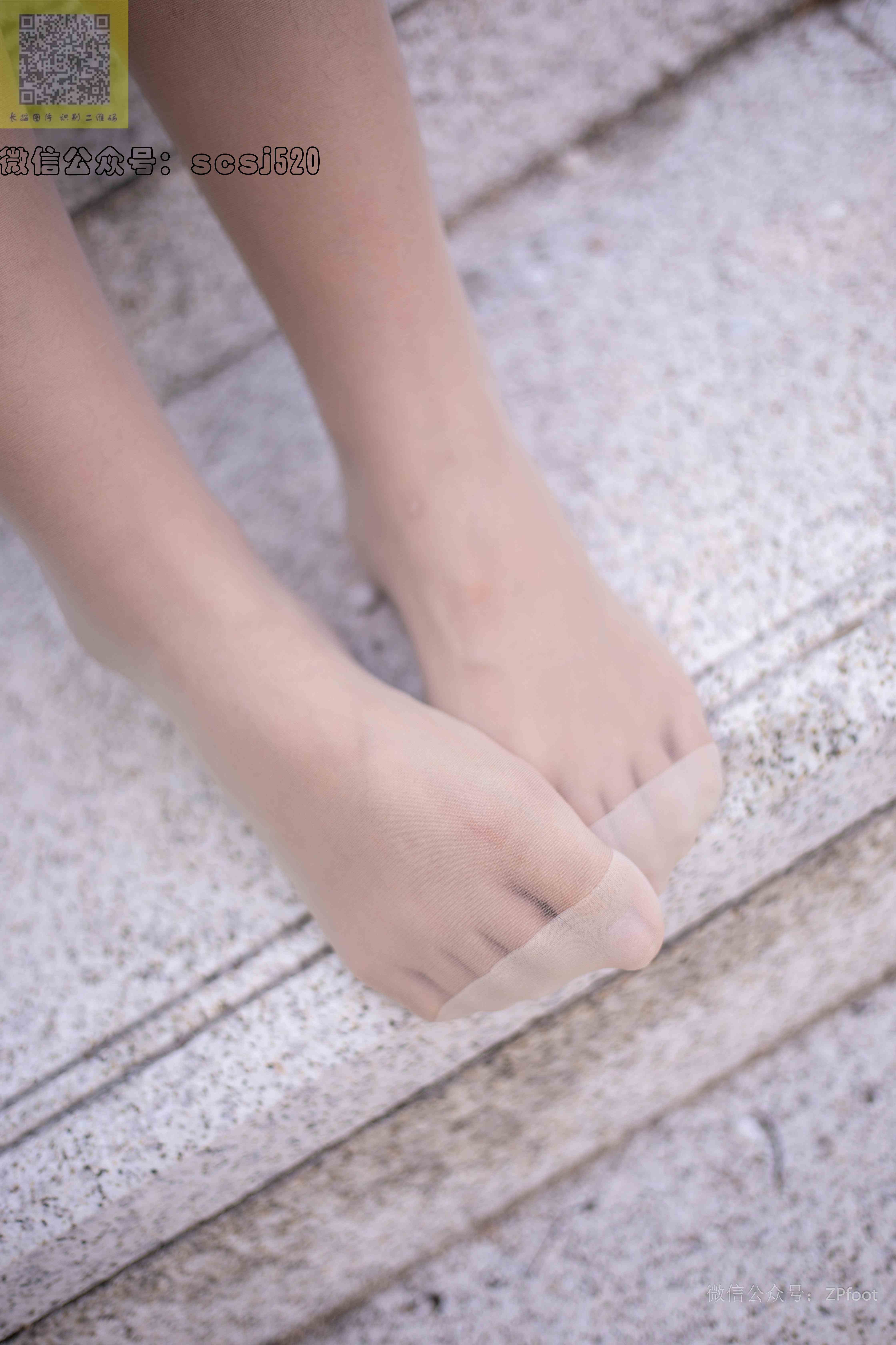 China Beauty Legs and feet 1361