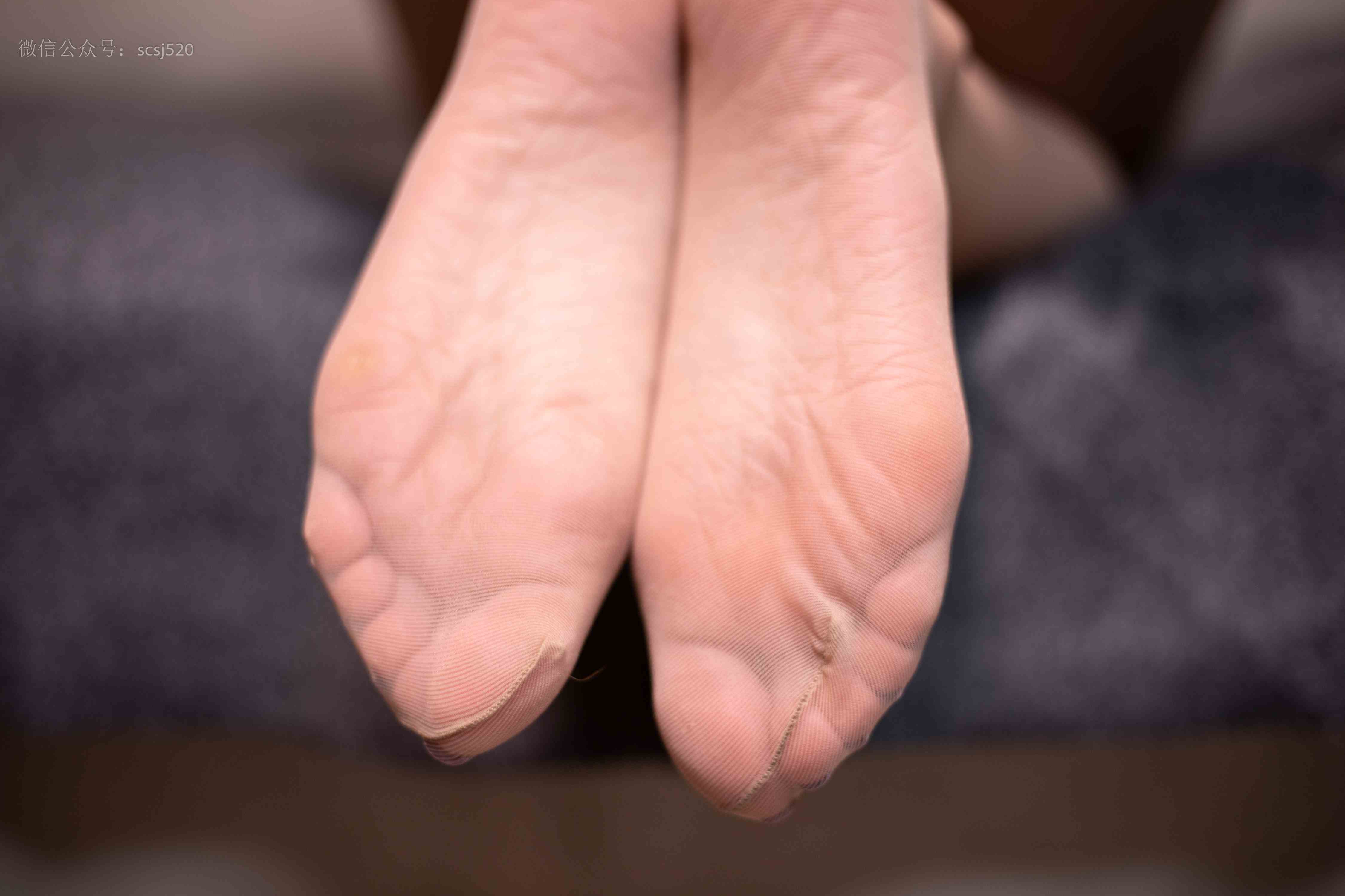 China Beauty Legs and feet 1369