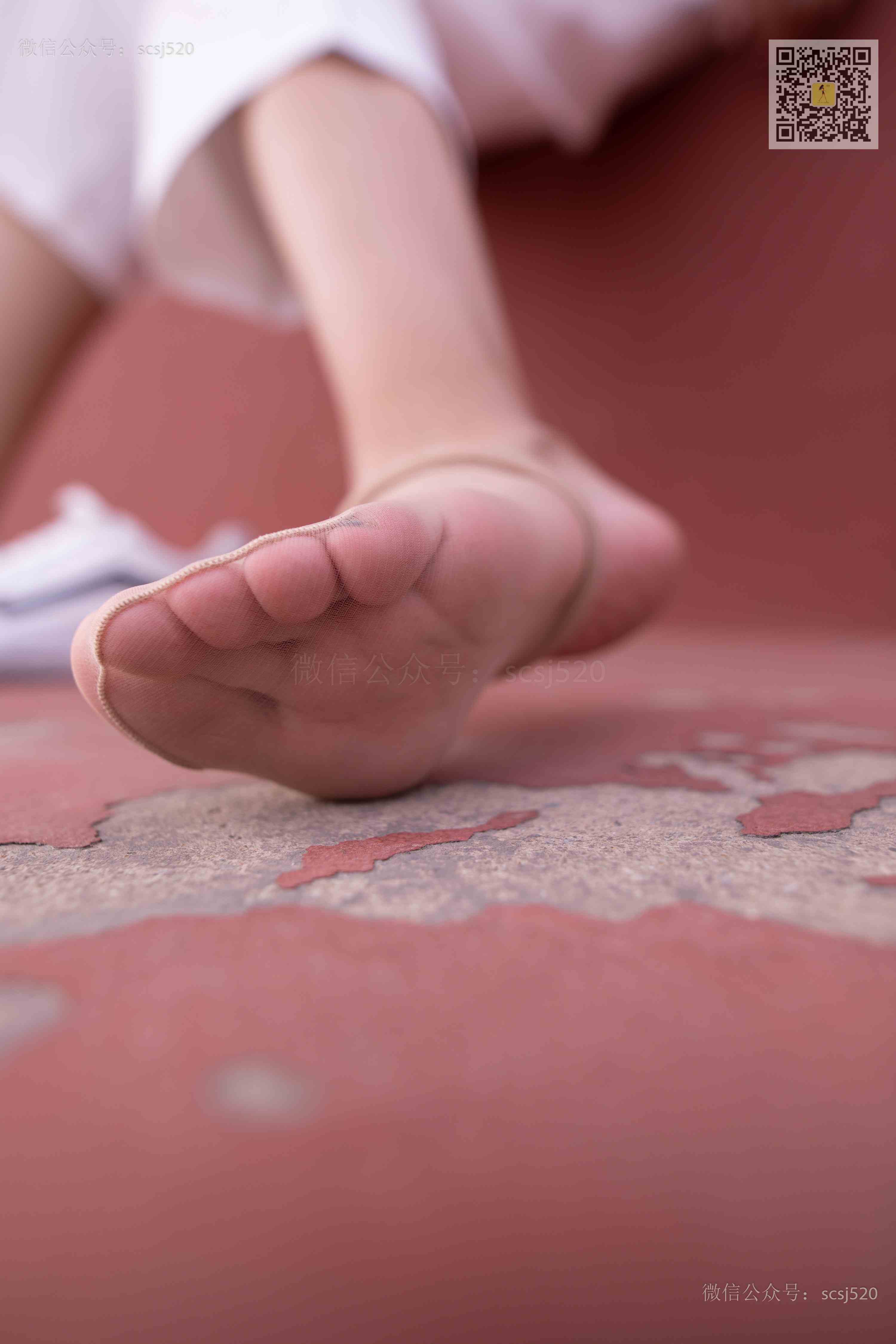 China Beauty Legs and feet 1388