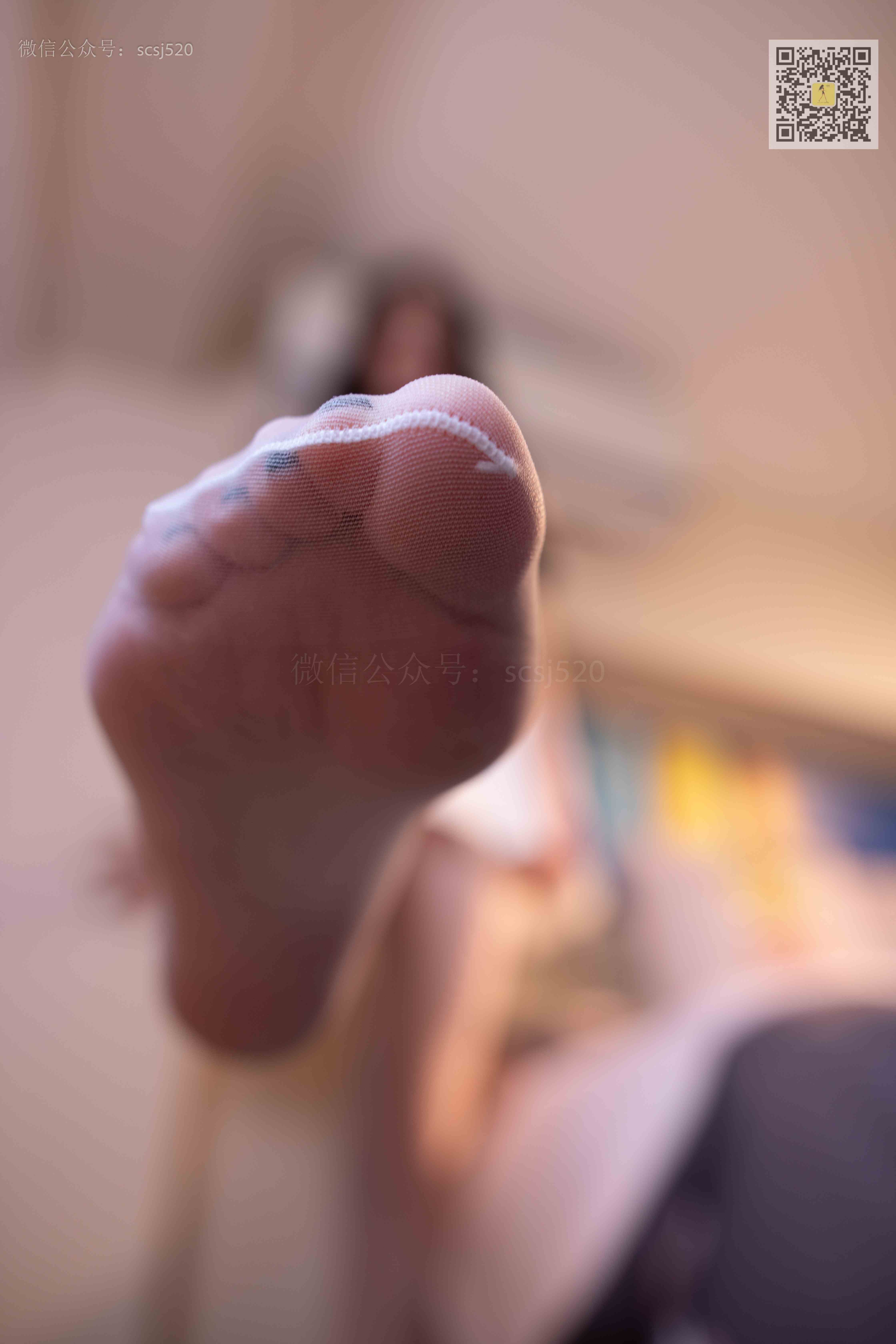 China Beauty Legs and feet 1406