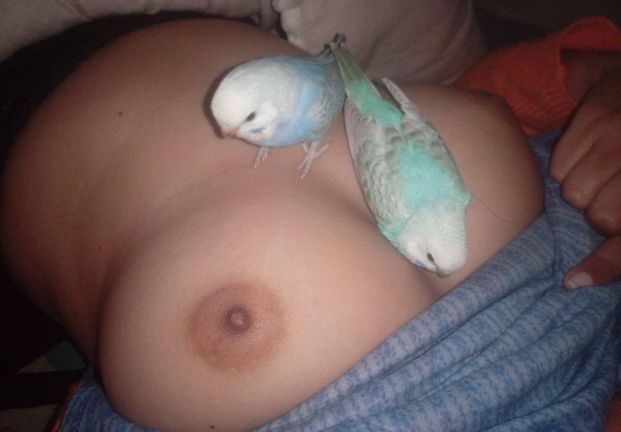 Bengali Big Boob Boudi Part - 9