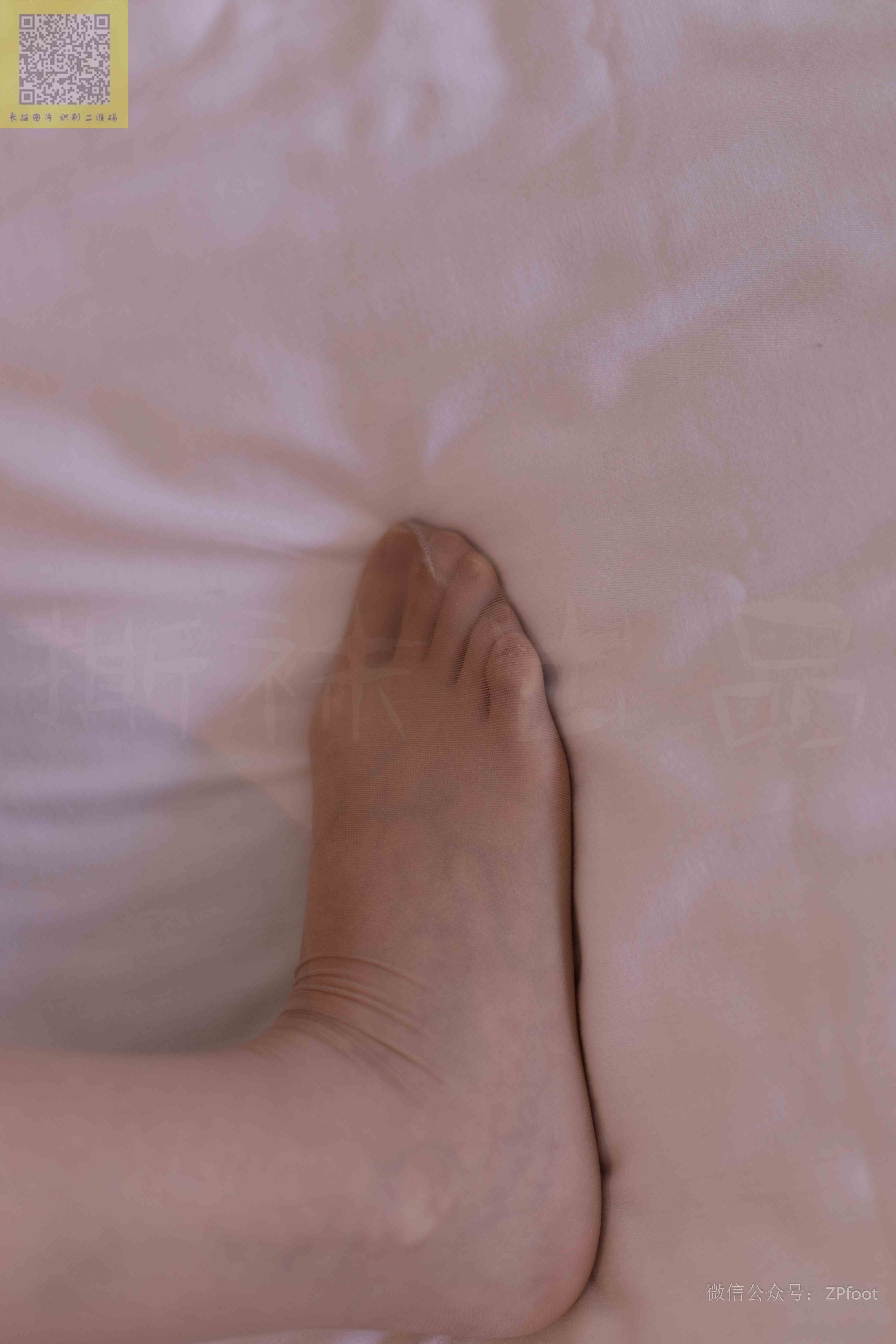 China Beauty Legs and feet 1419