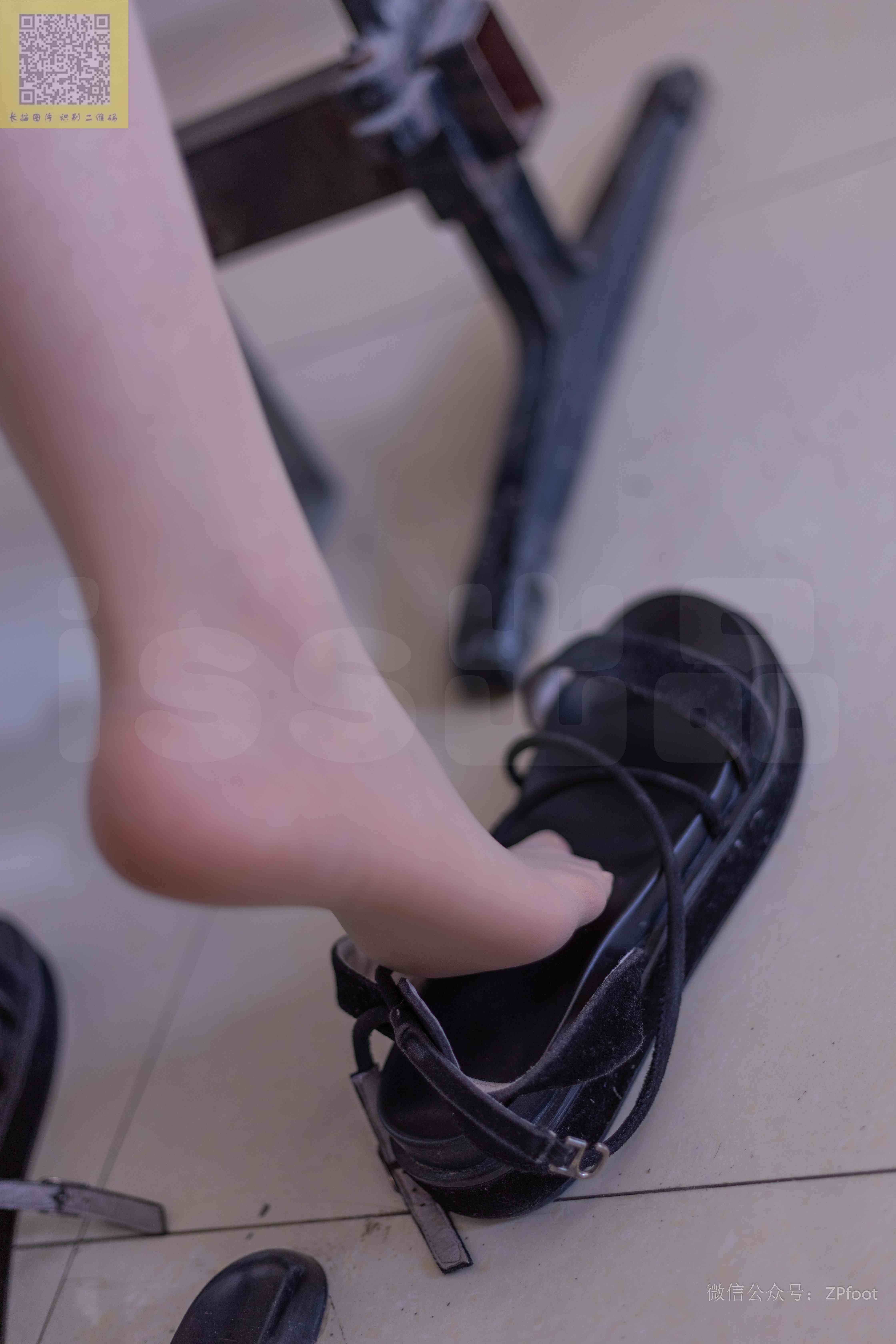 China Beauty Legs and feet 1421