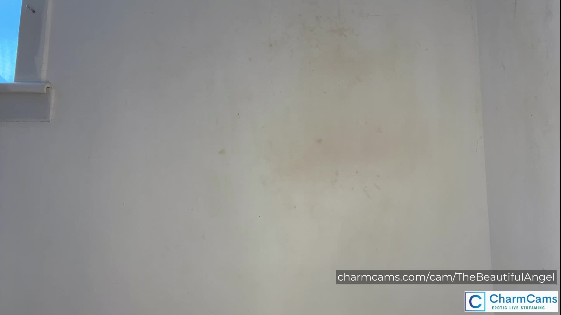 CharmCams Roleplay Camgirls - 300 Image Gallery