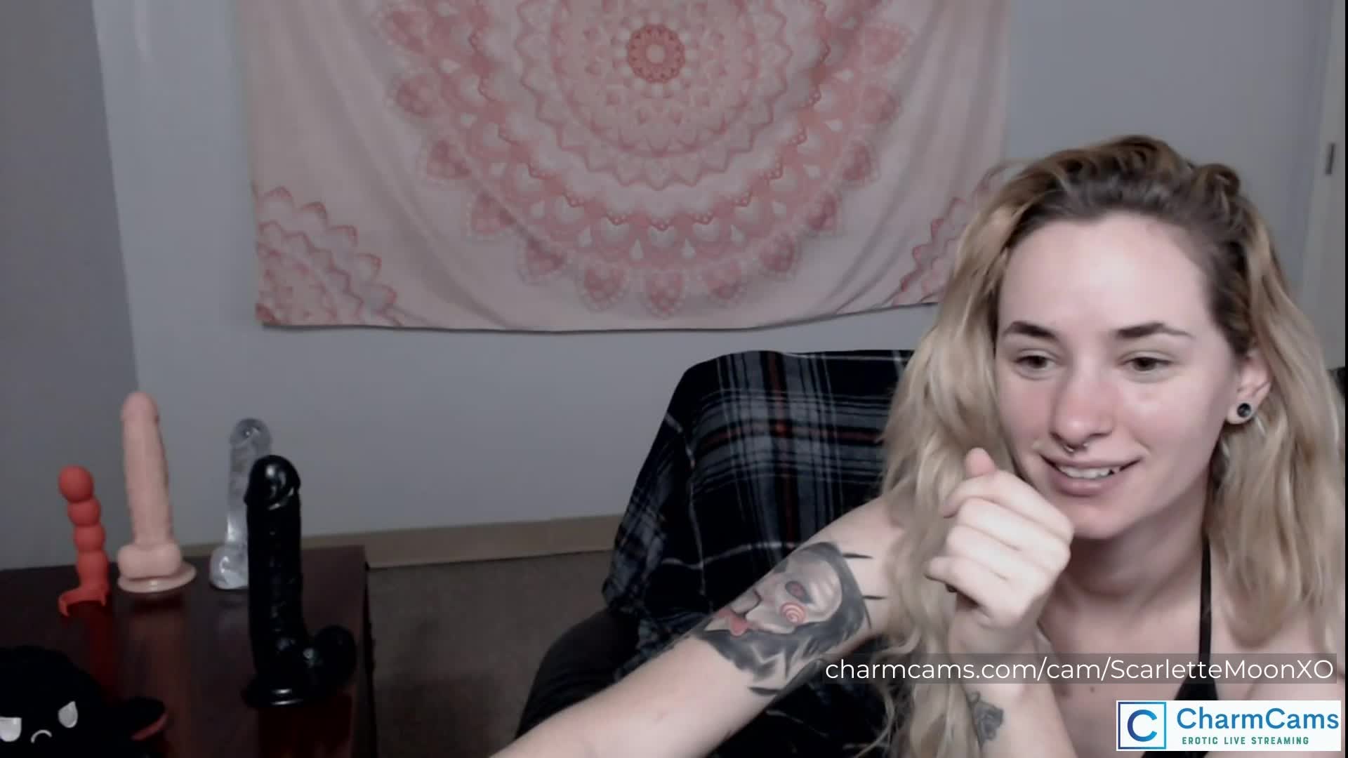 CharmCams Roleplay Camgirls - 300 Image Gallery