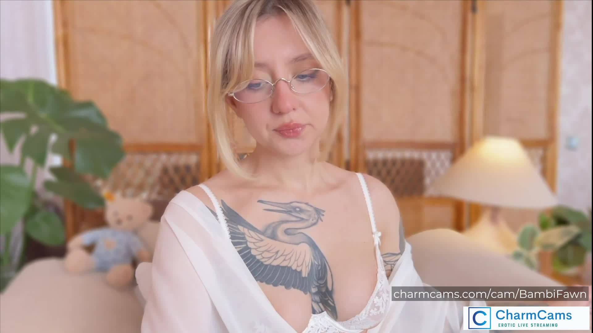 CharmCams Roleplay Camgirls - 300 Image Gallery