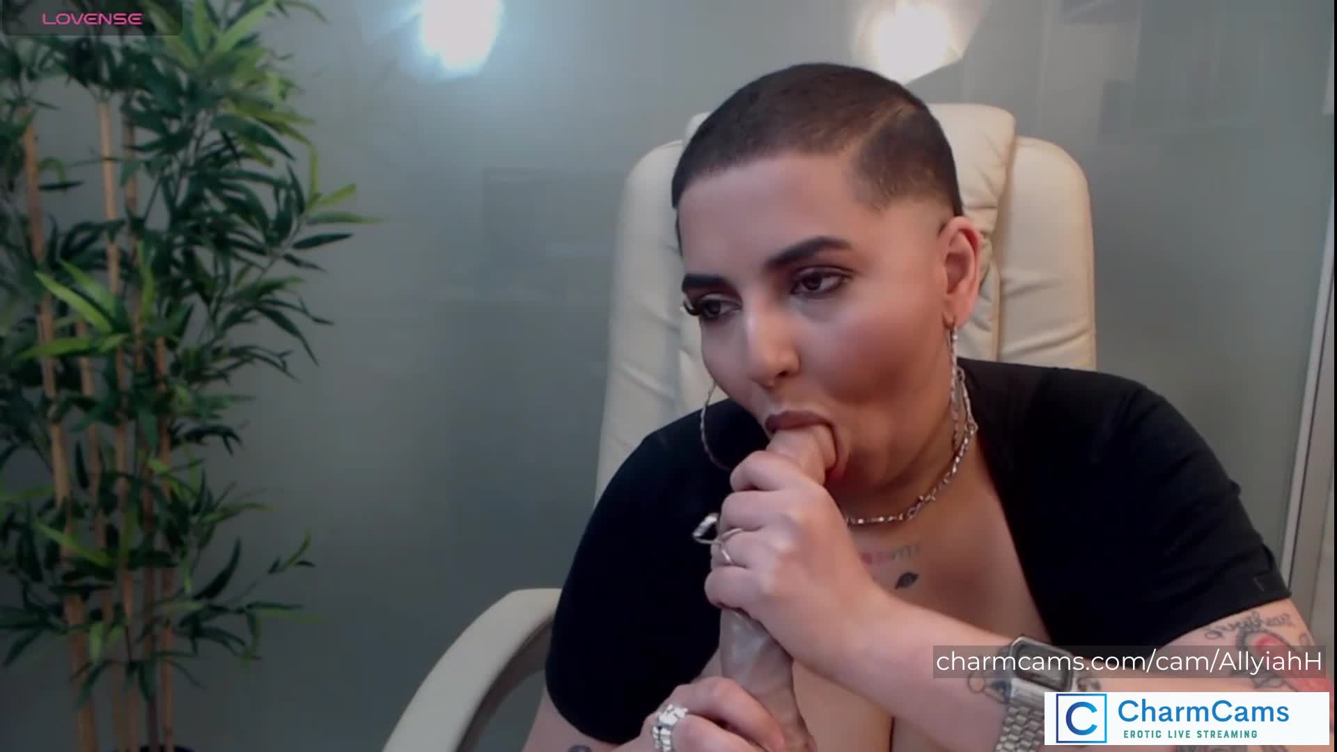 CharmCams Roleplay Camgirls - 300 Image Gallery