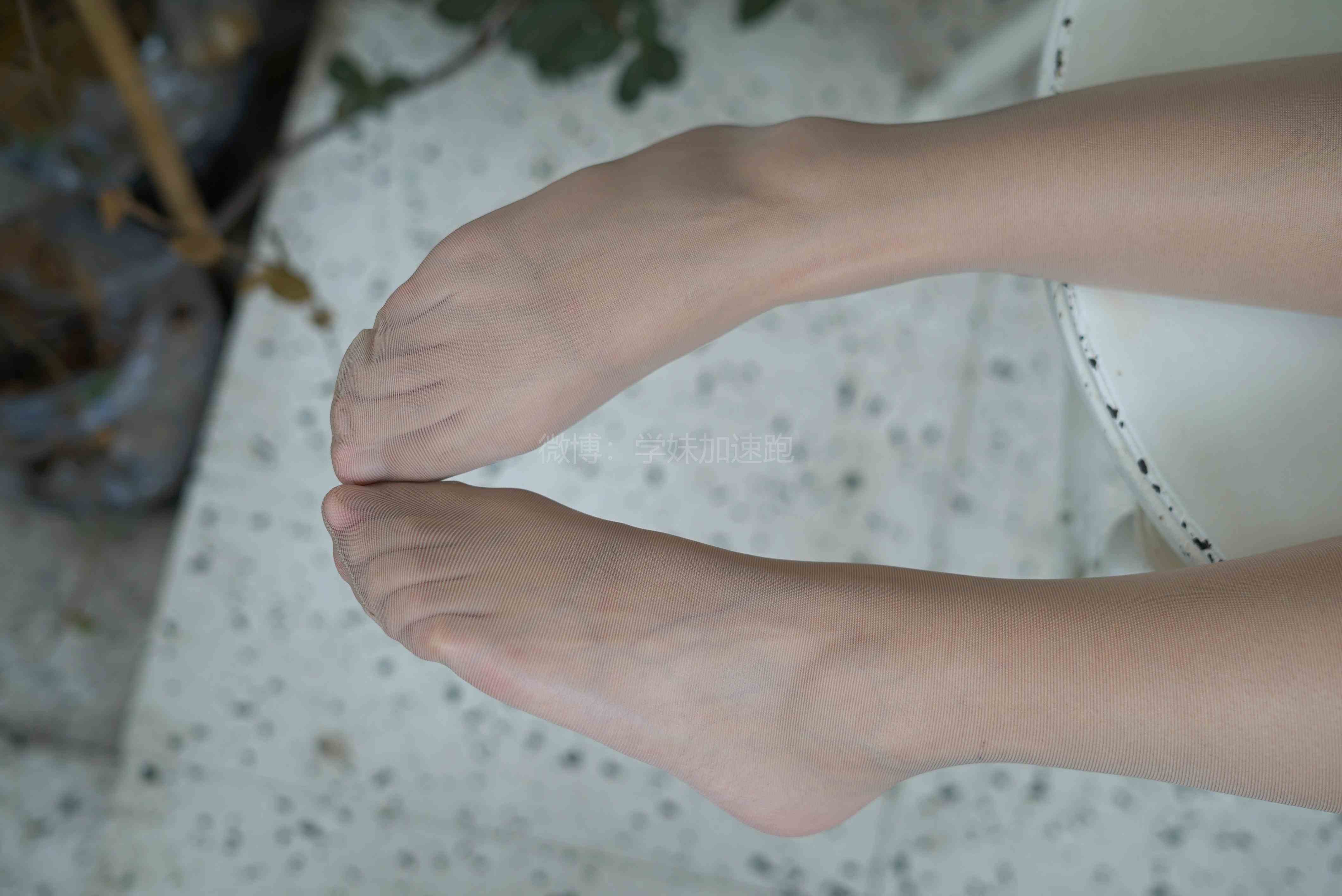 China Beauty Legs and feet 1443