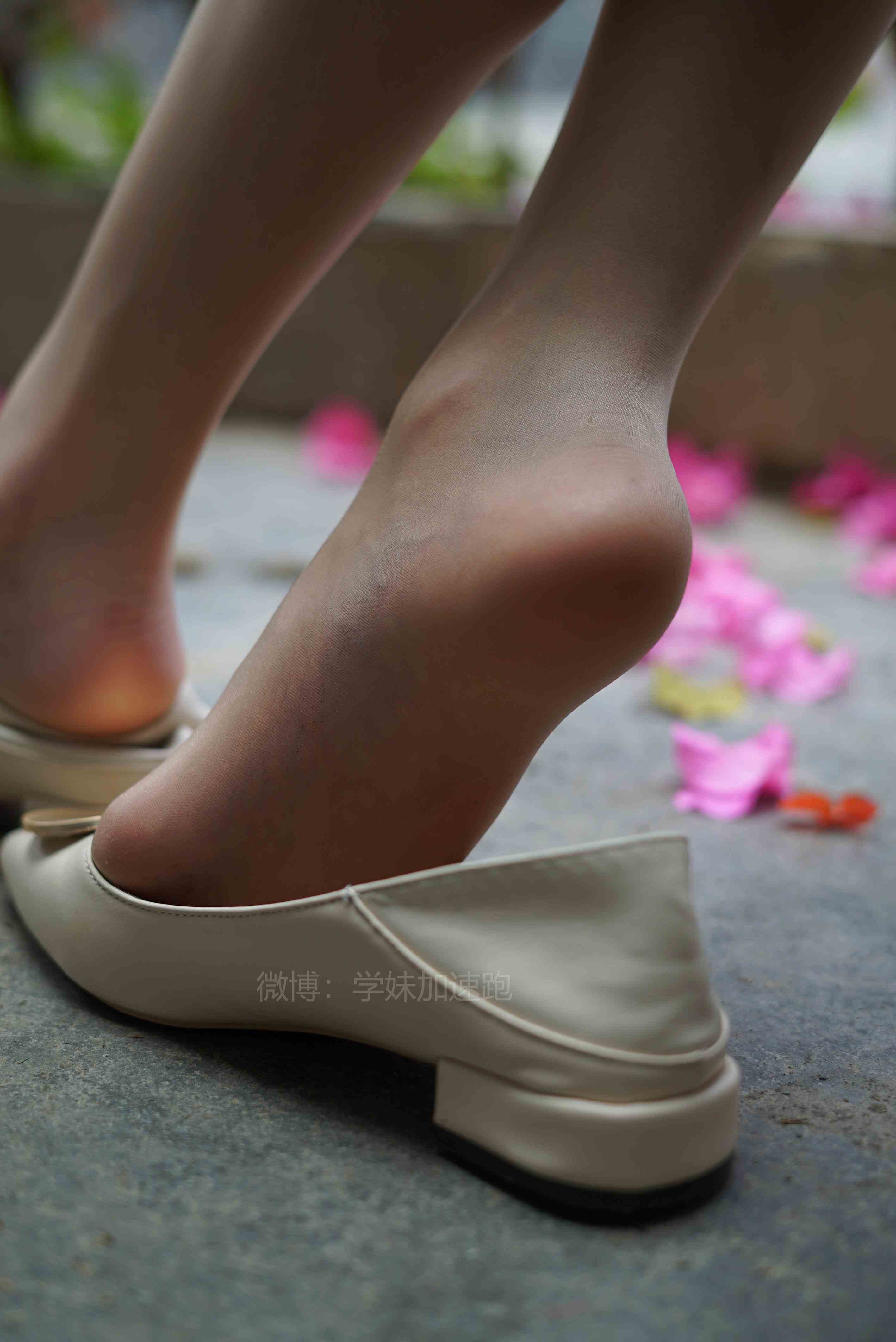 China Beauty Legs and feet 1444