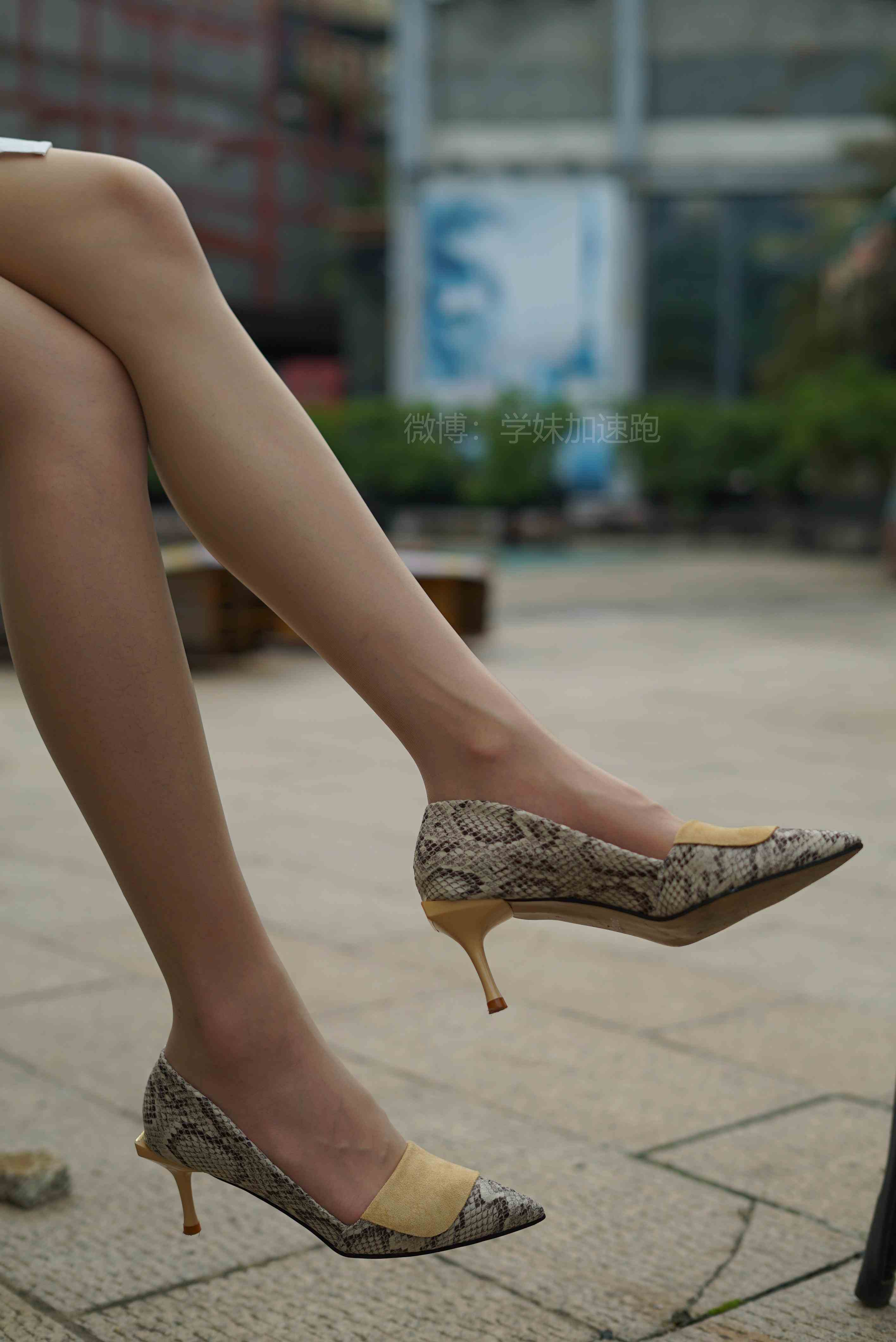 China Beauty Legs and feet 1447