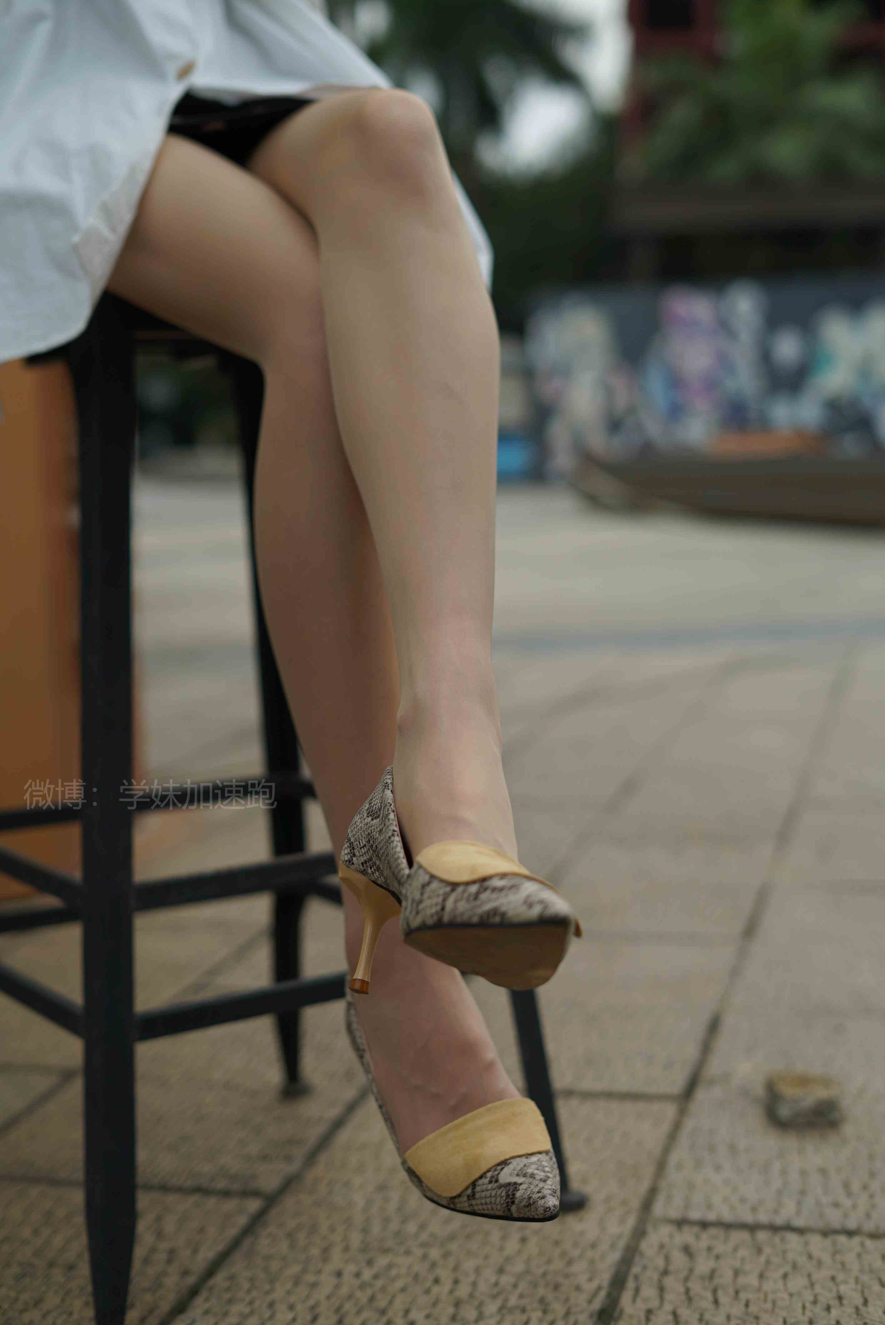 China Beauty Legs and feet 1447