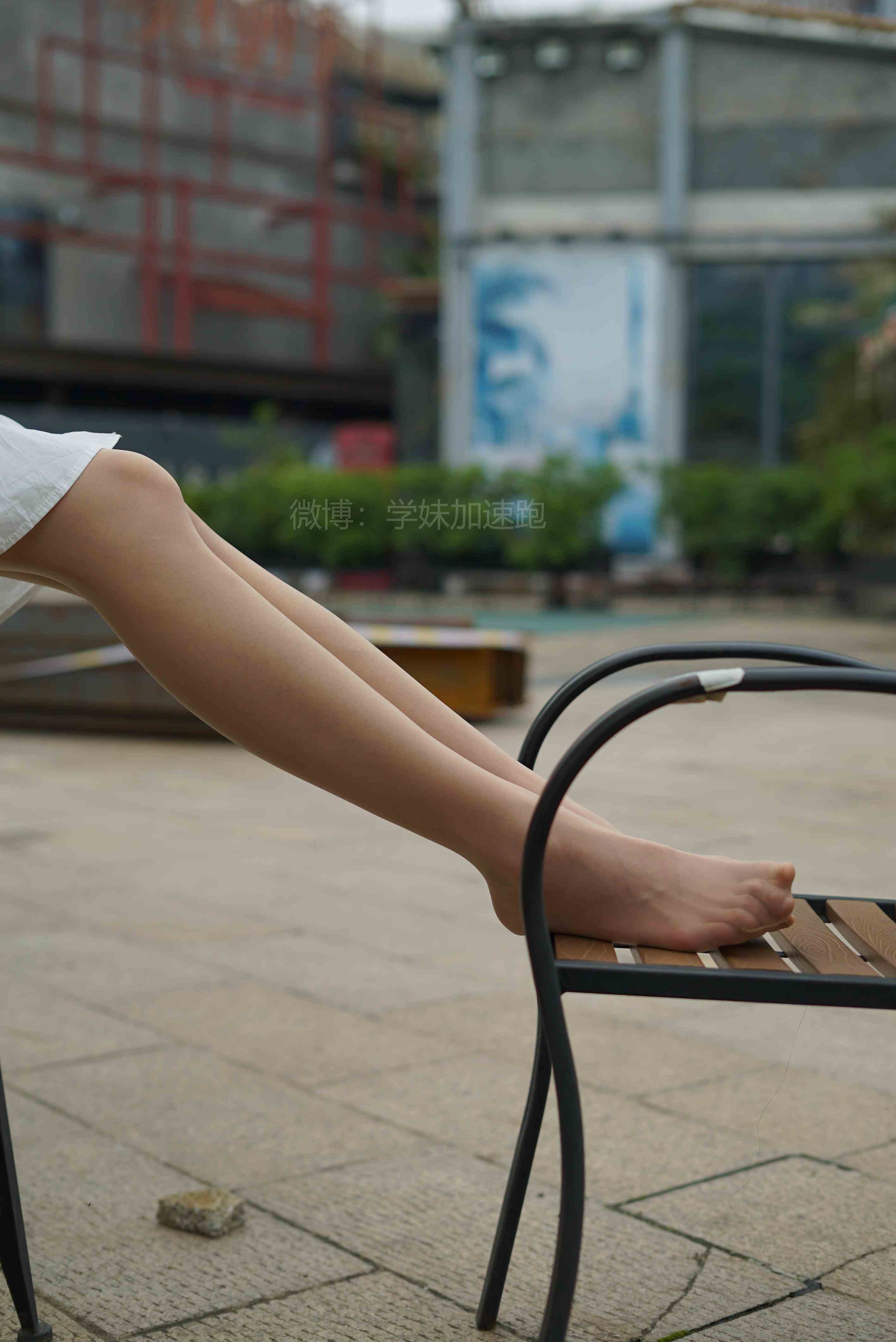 China Beauty Legs and feet 1447