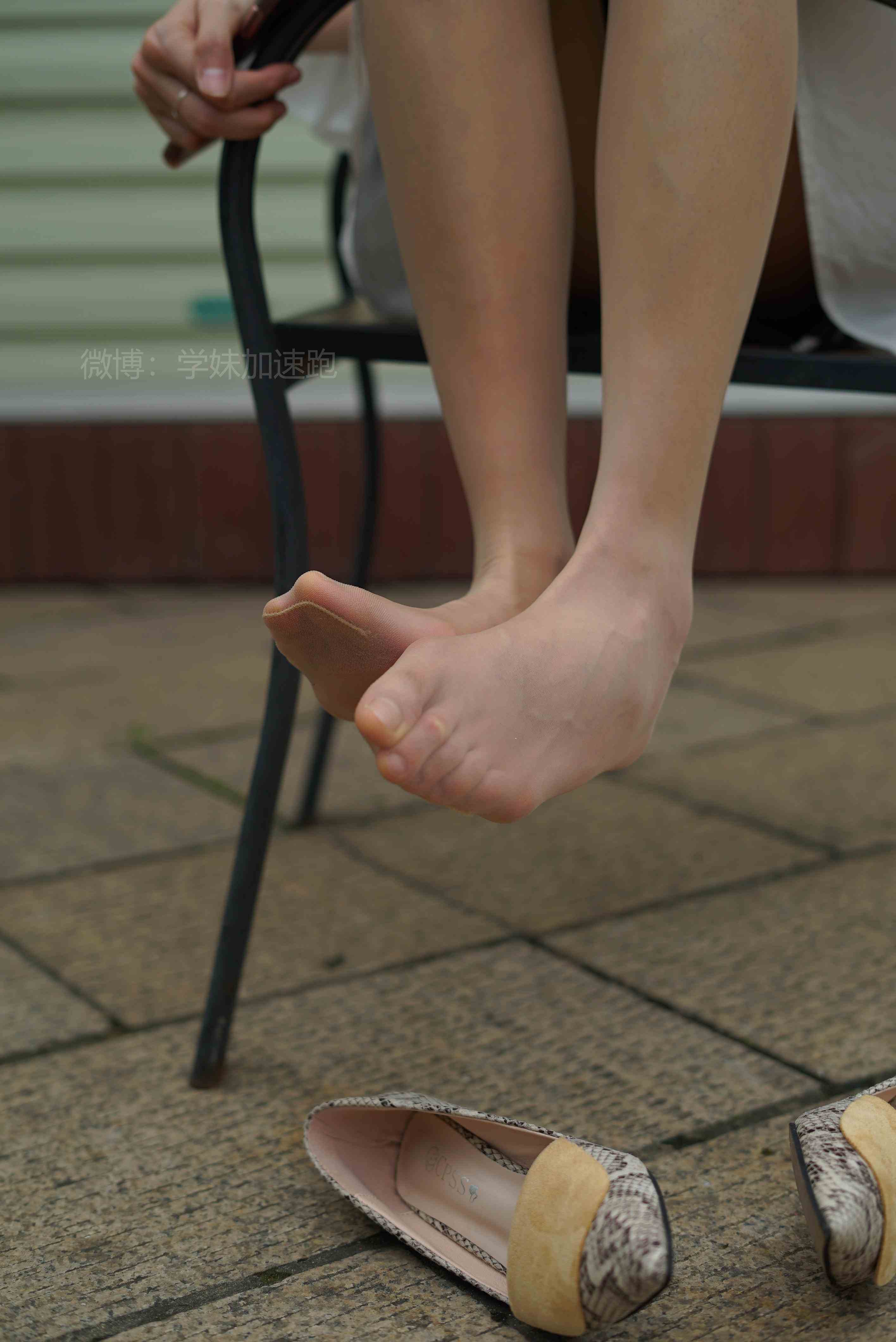 China Beauty Legs and feet 1447