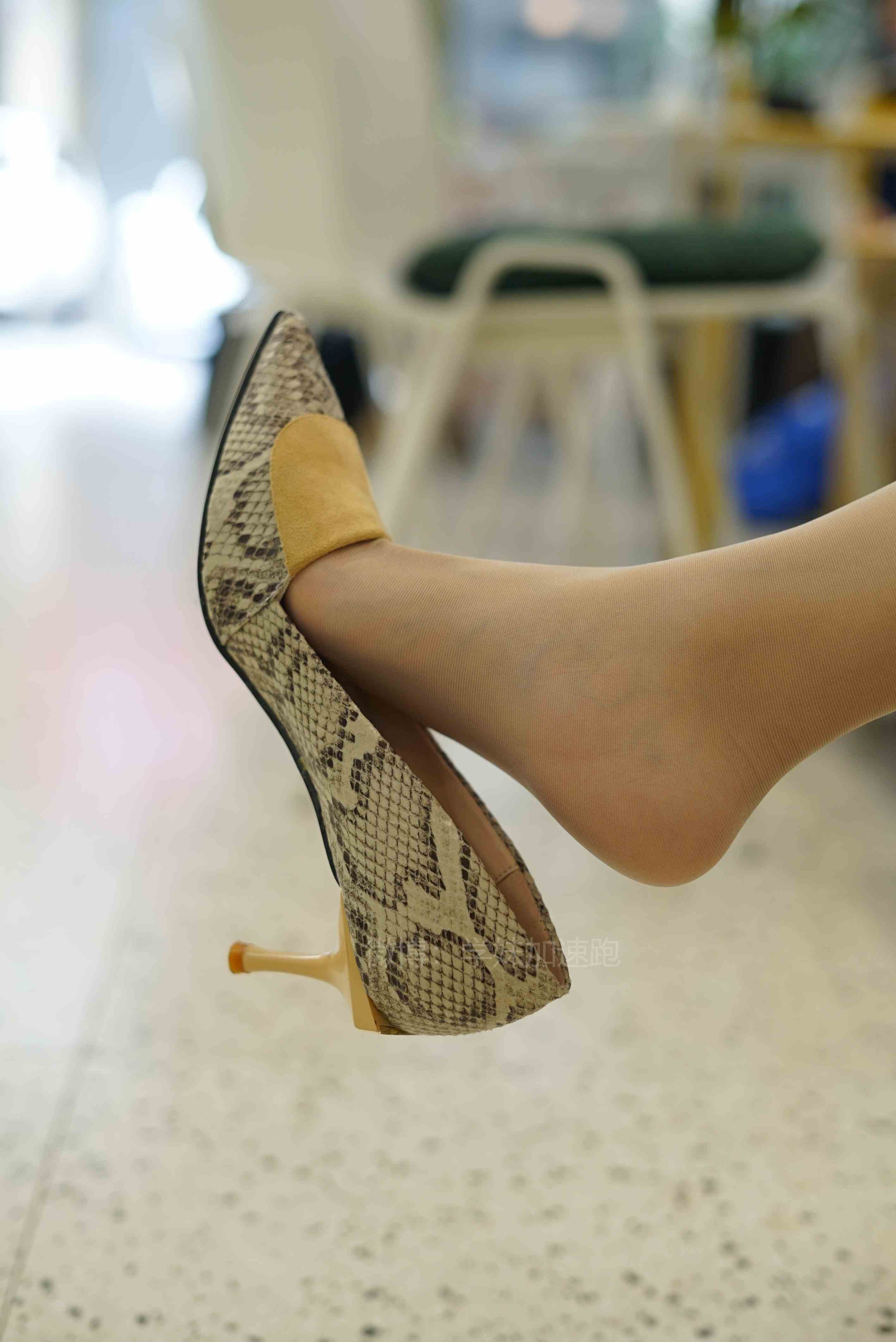 China Beauty Legs and feet 1448