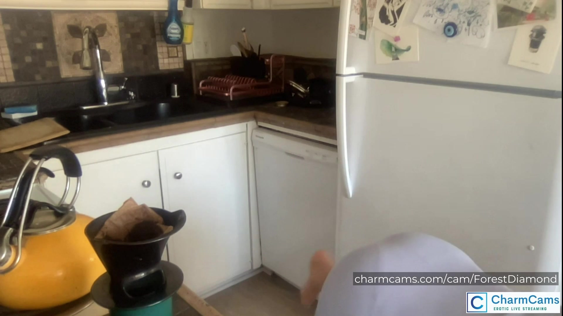 CharmCams Stars Get Dirty – Tits Out, Dildos In, and Nonstop