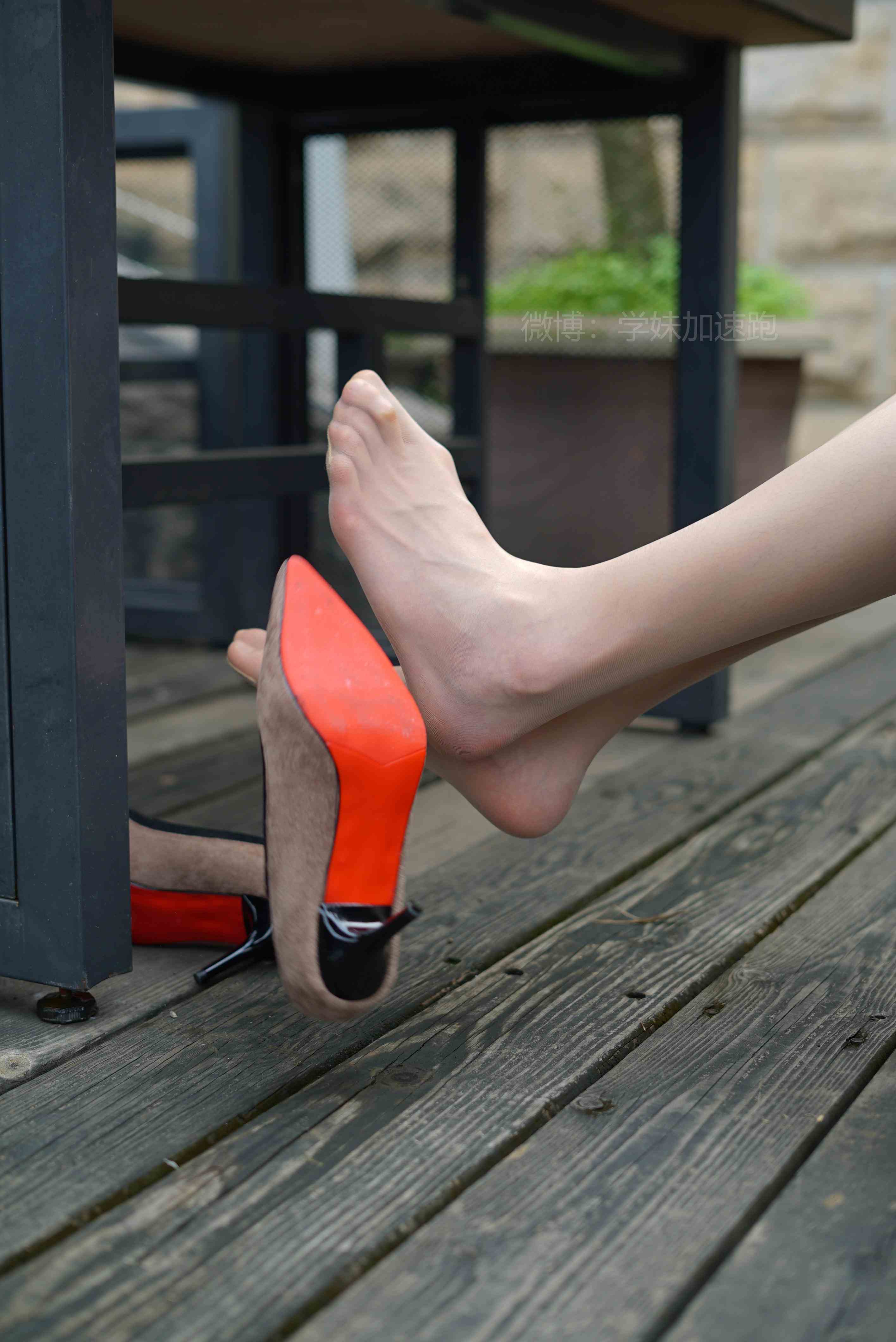 China Beauty Legs and feet 1452