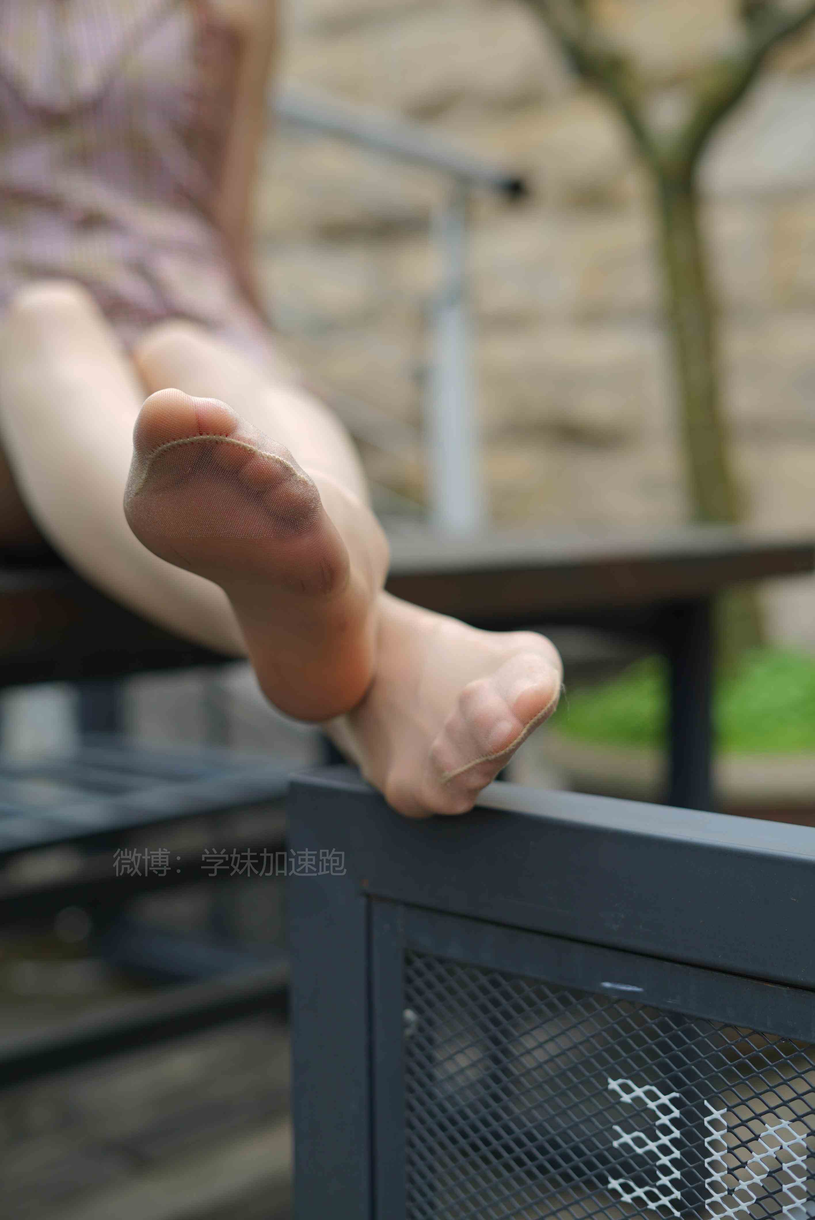 China Beauty Legs and feet 1452