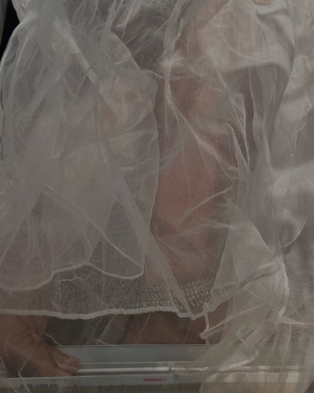 Maya Diba Nude Diba Maya Xxx