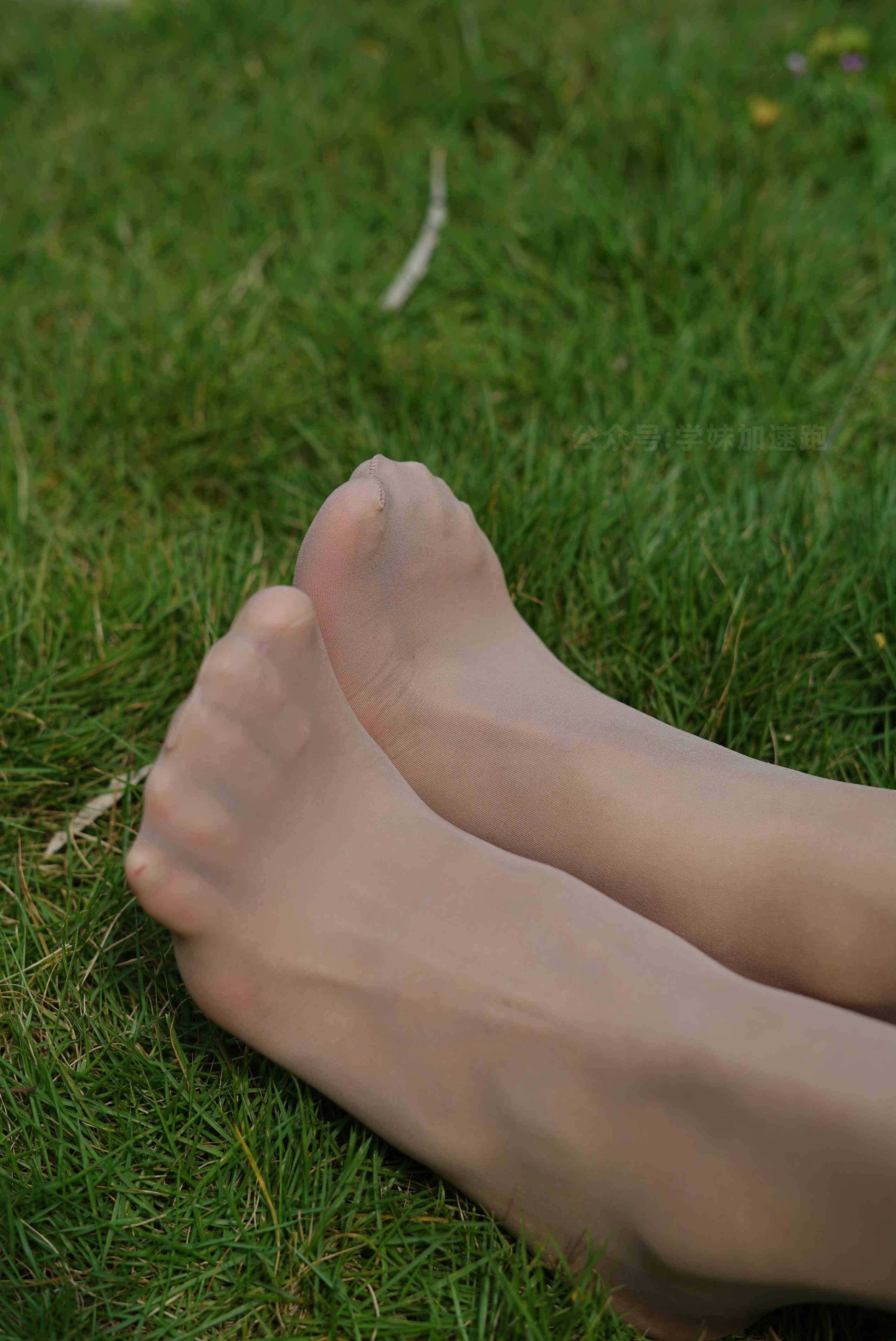 China Beauty Legs and feet 1459