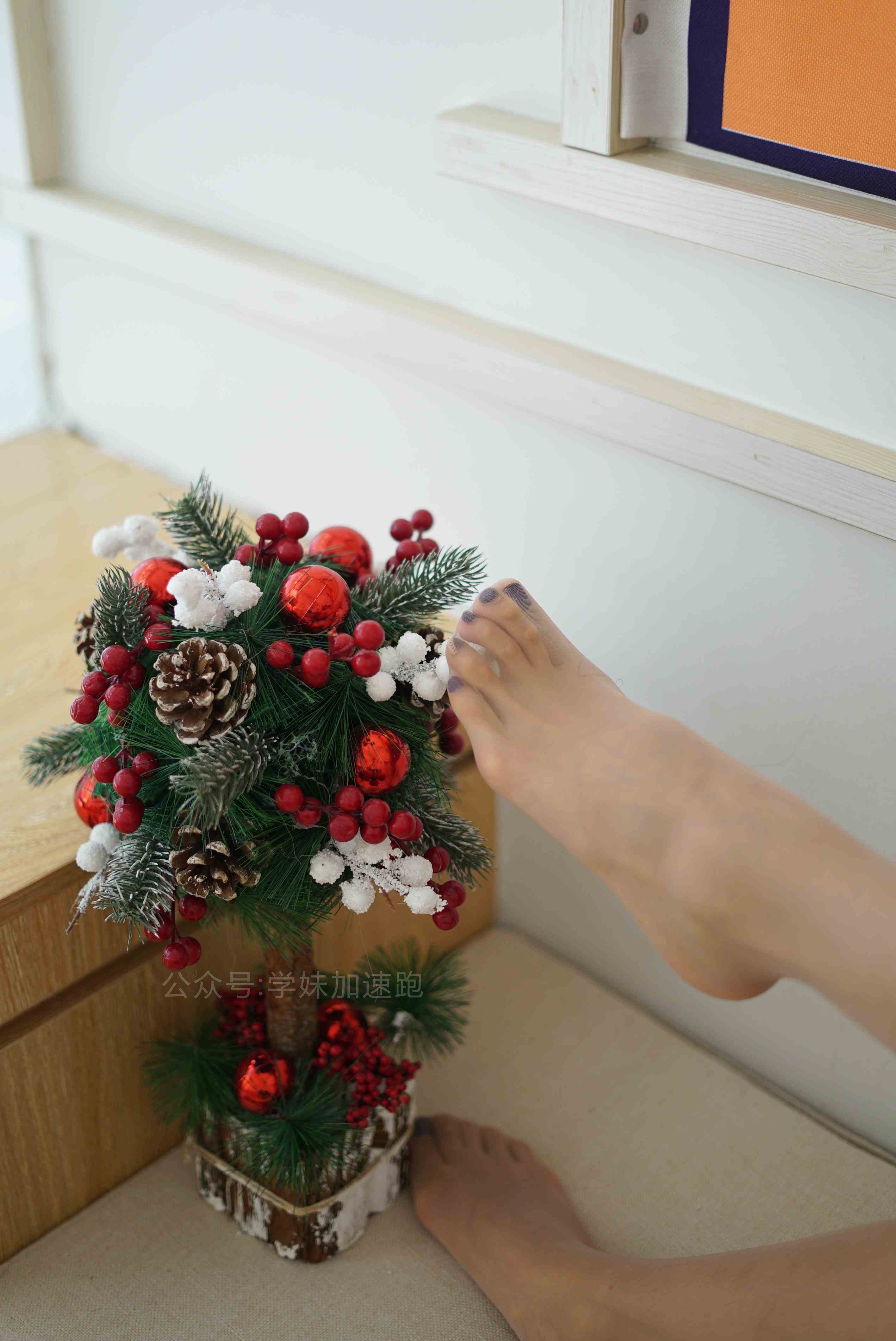 China Beauty Legs and feet 1466