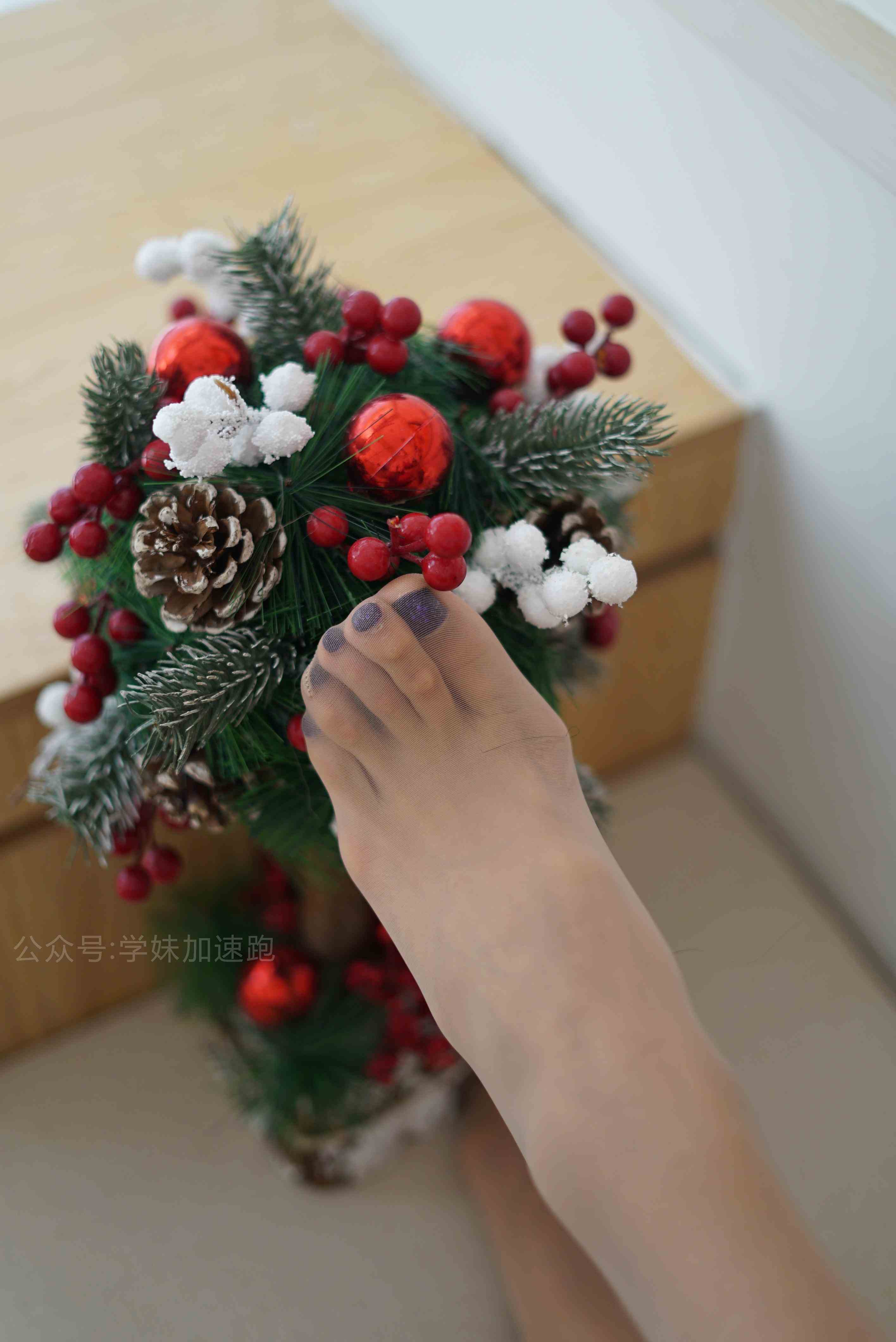 China Beauty Legs and feet 1466