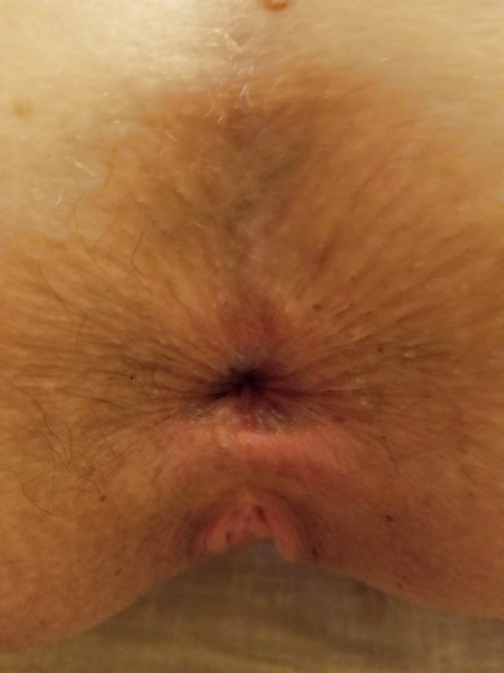 Deanna, anal slut wife from Worcester, Mass.