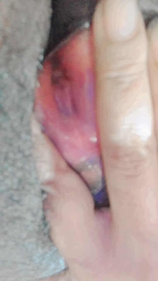 Bengali Big Boob Girl Nude Photos Part - 33