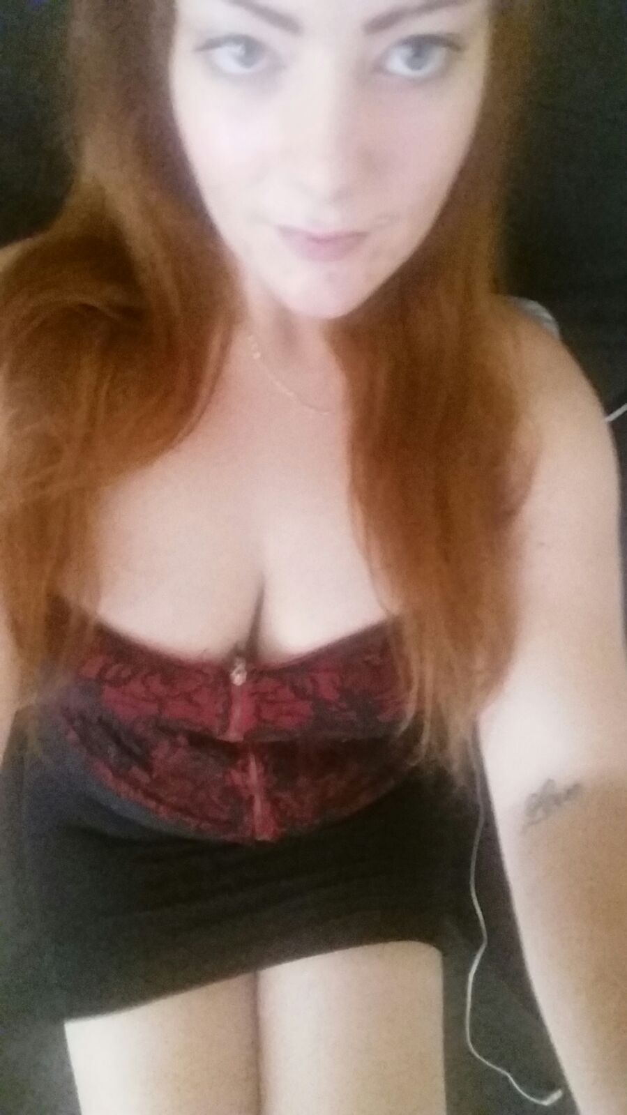 Expose Diaries Part 1. Busty Dutch Redheaded Whore
